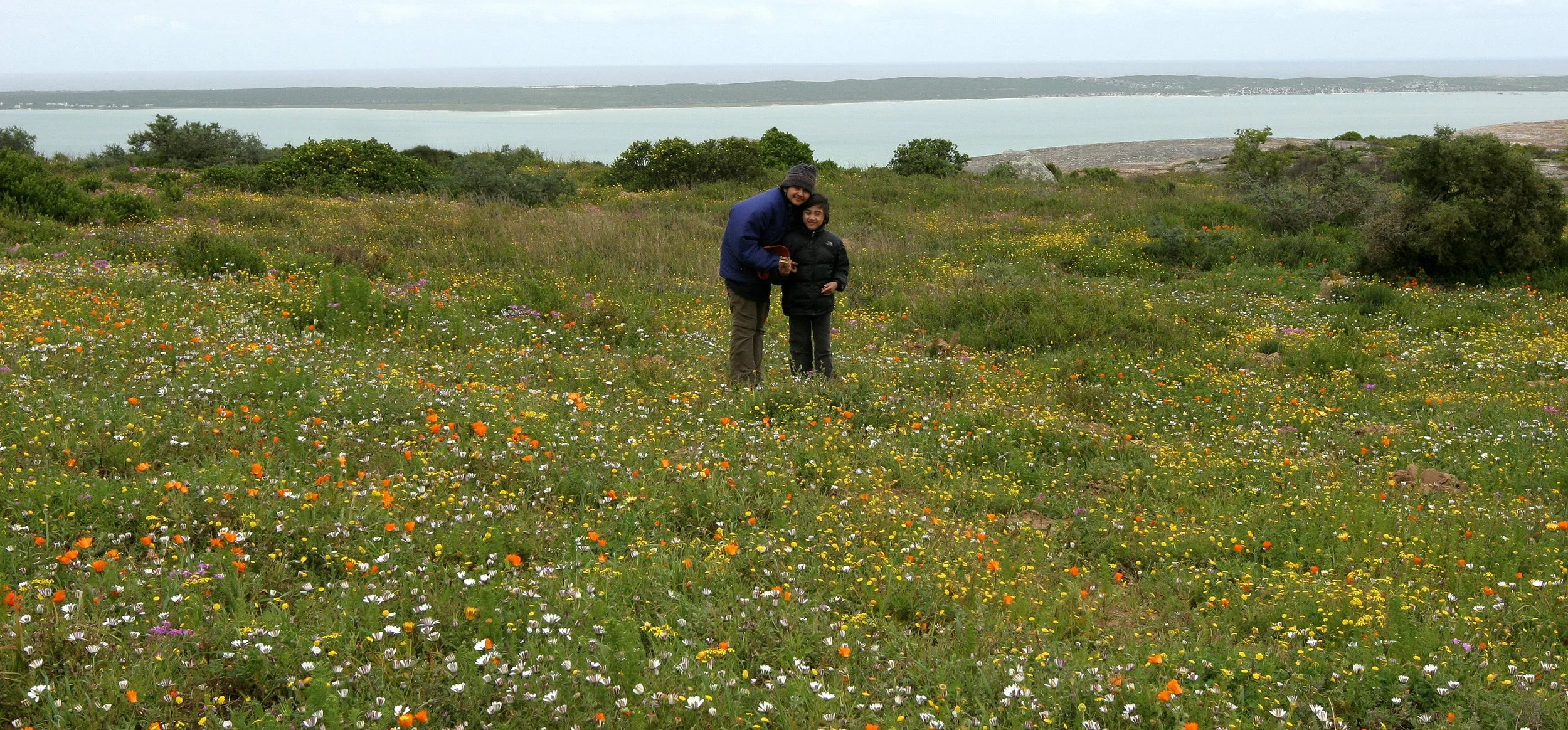 WEST COAST NATIONAL PARK SOUTH AFRICA - VIEWS OF (4).JPG