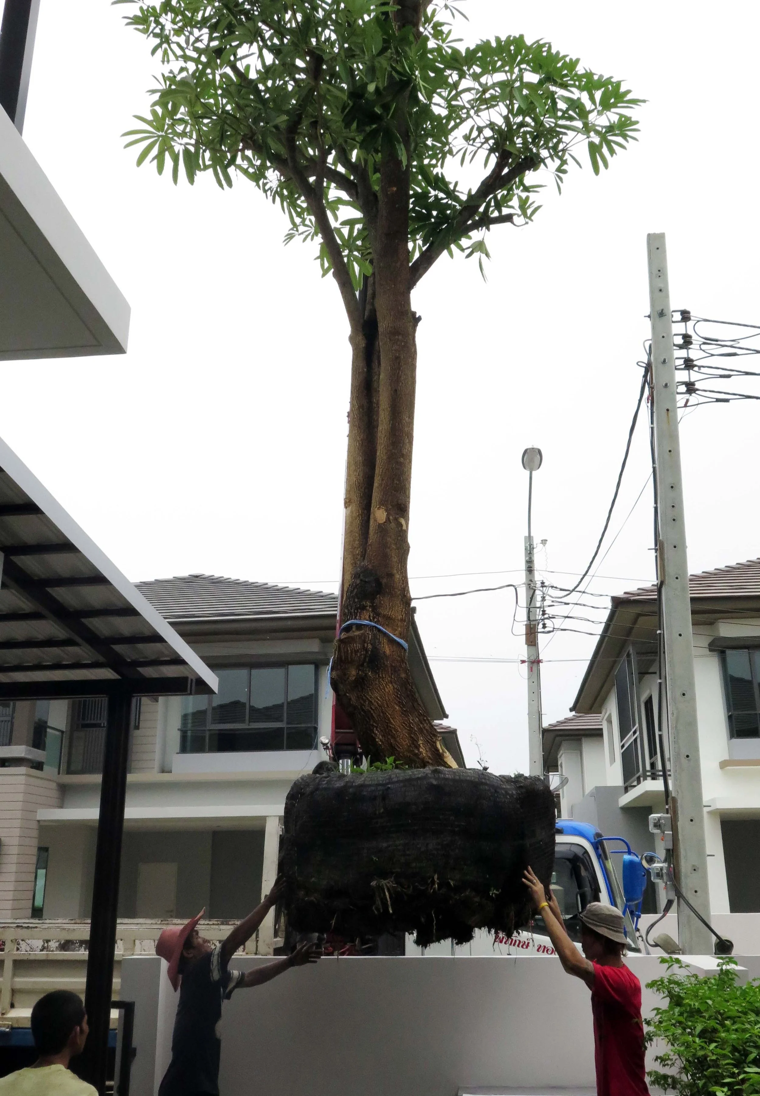 2013 Nonthaburi Setthasiri House and Nonthaburi Neighborhood (35).JPG