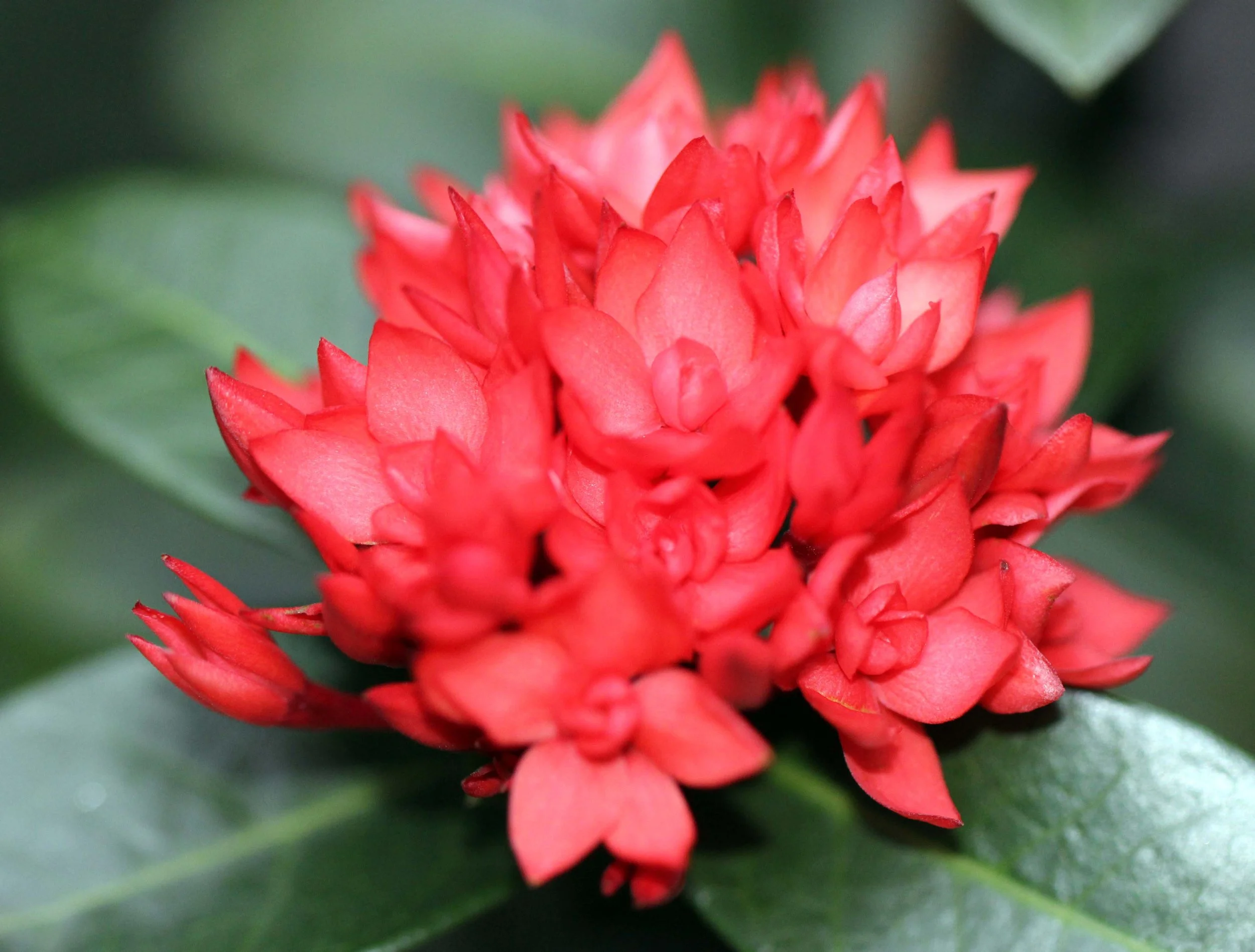 2013 River Treehouse with Friends in Nonthaburi (56).JPG