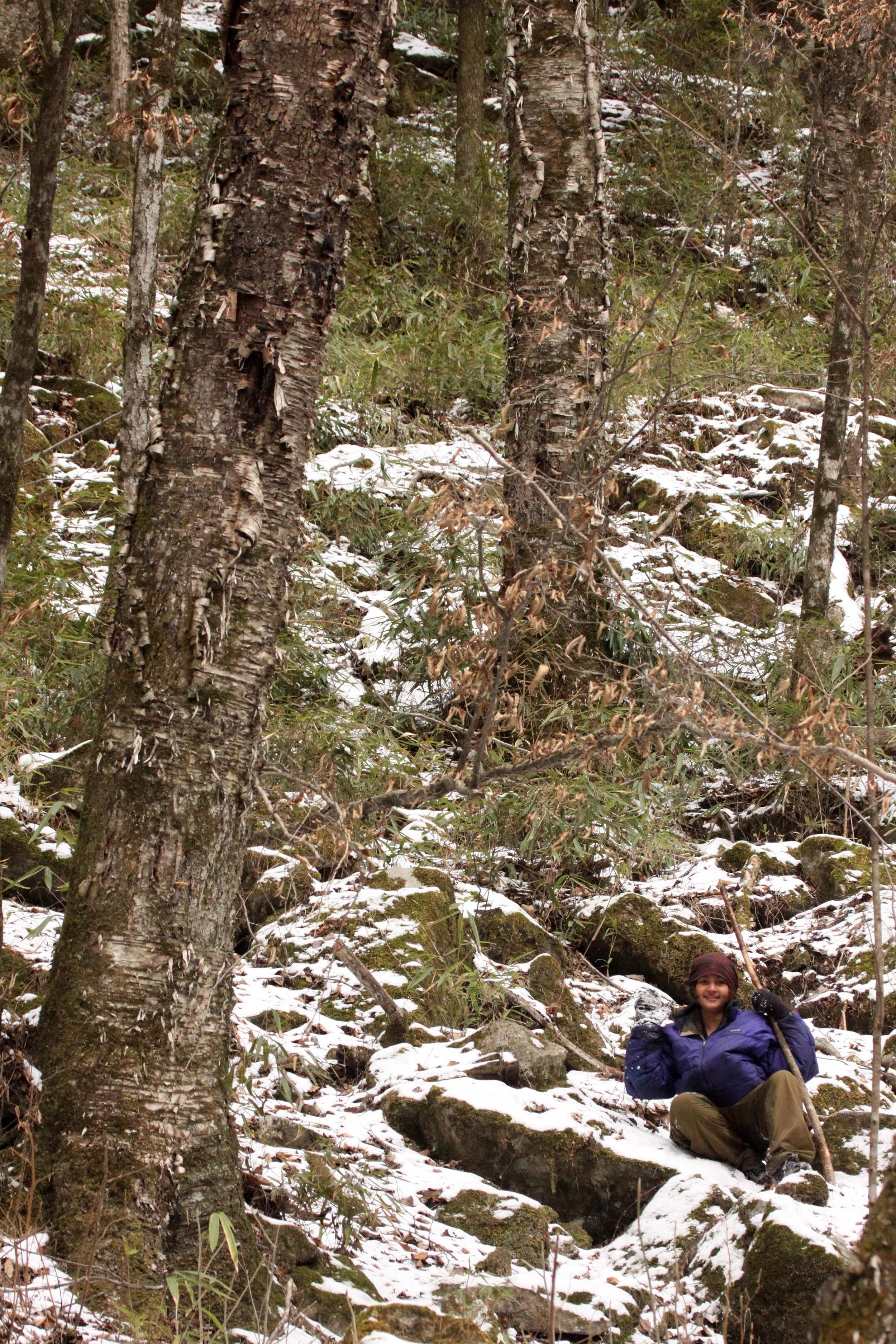 FOPING NATURE RESERVE - SHAANXI PROVINCE CHINA (148).JPG