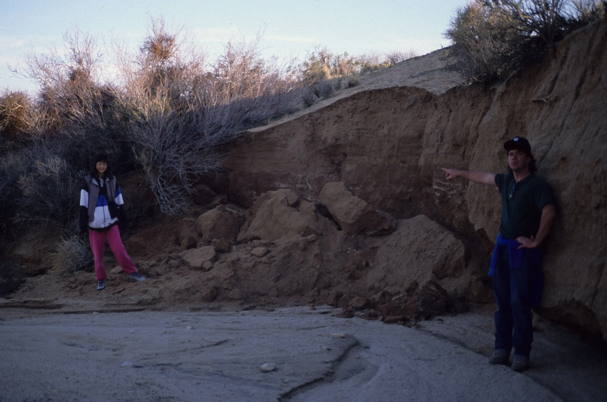 ANZA BORREGO - ARROYO.jpg