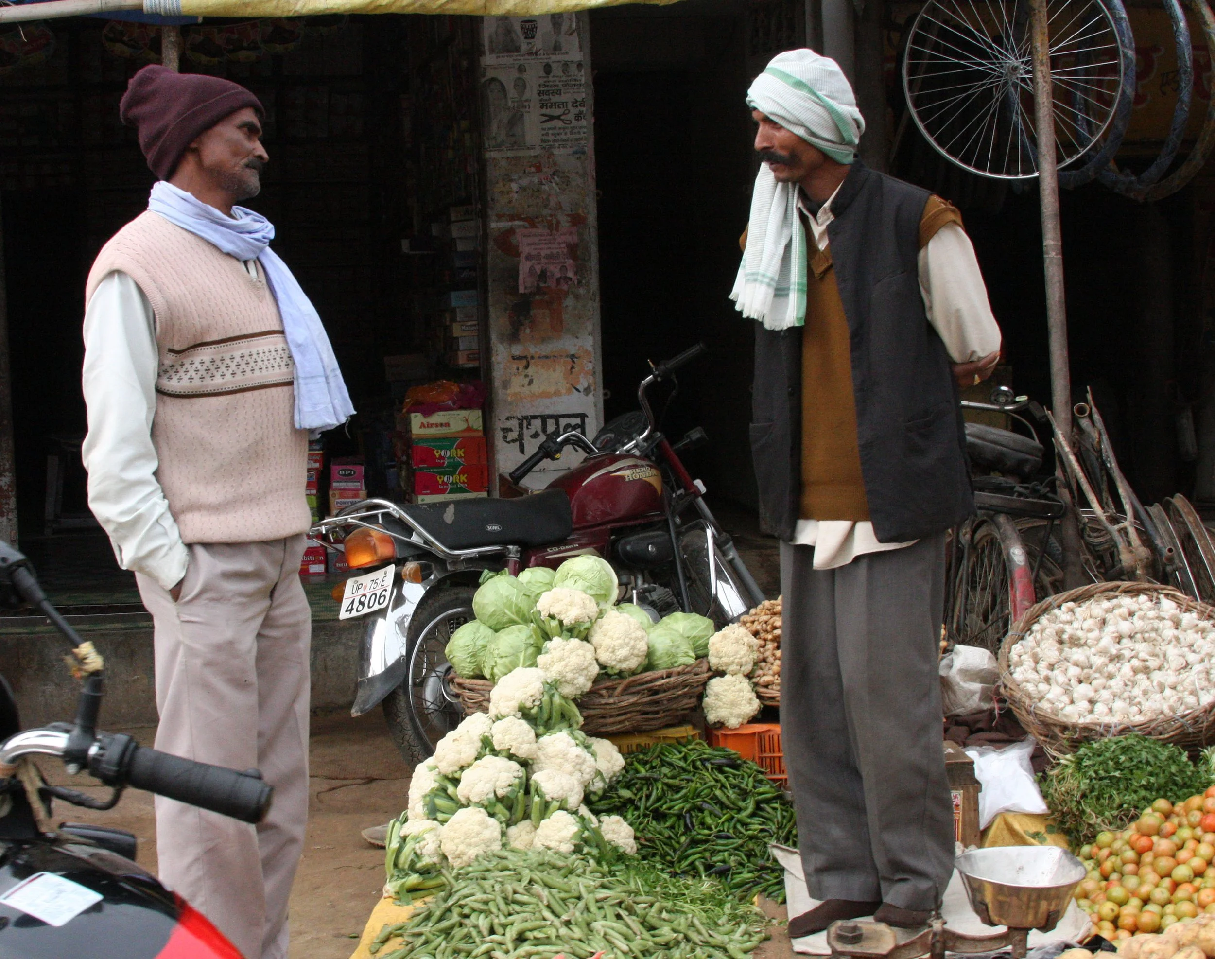 CHAMBAL RIVER SANCTUARY INDIA (24).JPG