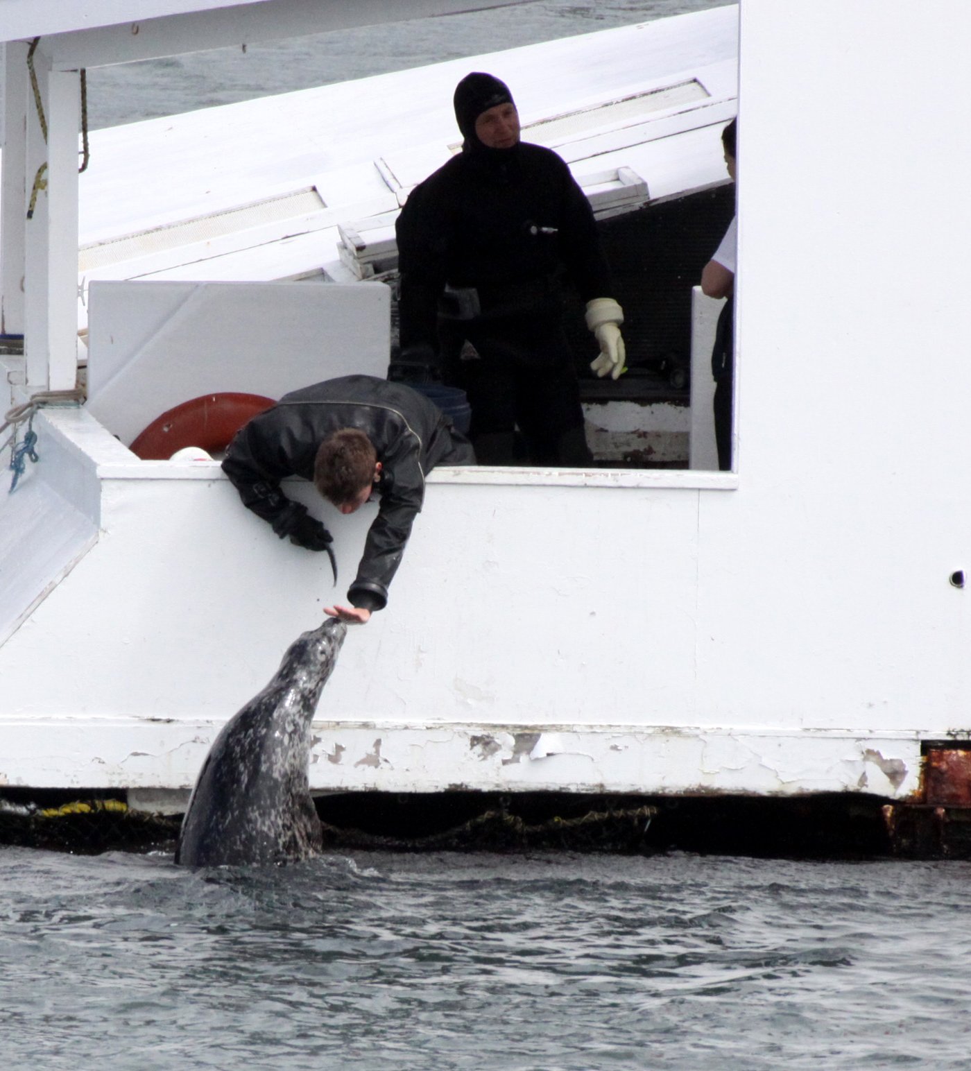 VICTORIA BC (14).JPG