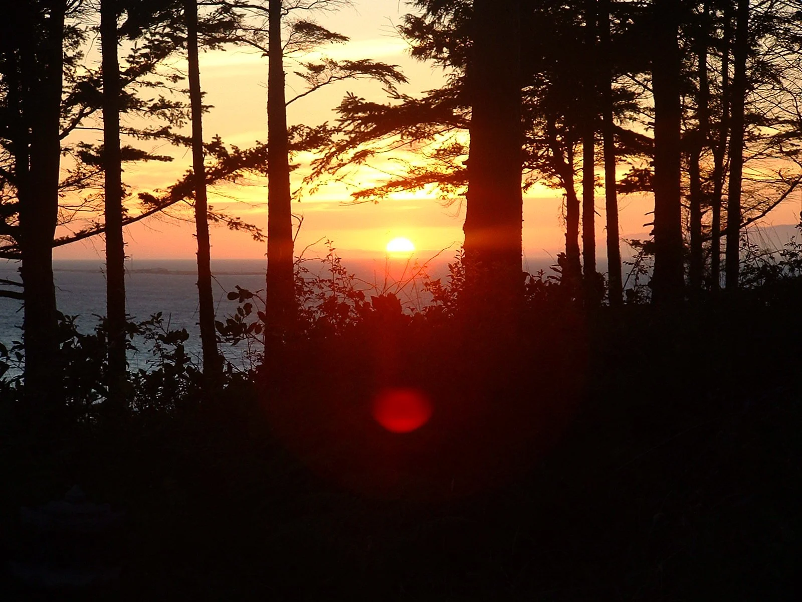 2003-8-1 WASHINGTON VISIT FROM ROBINSONS ET AL (14).JPG