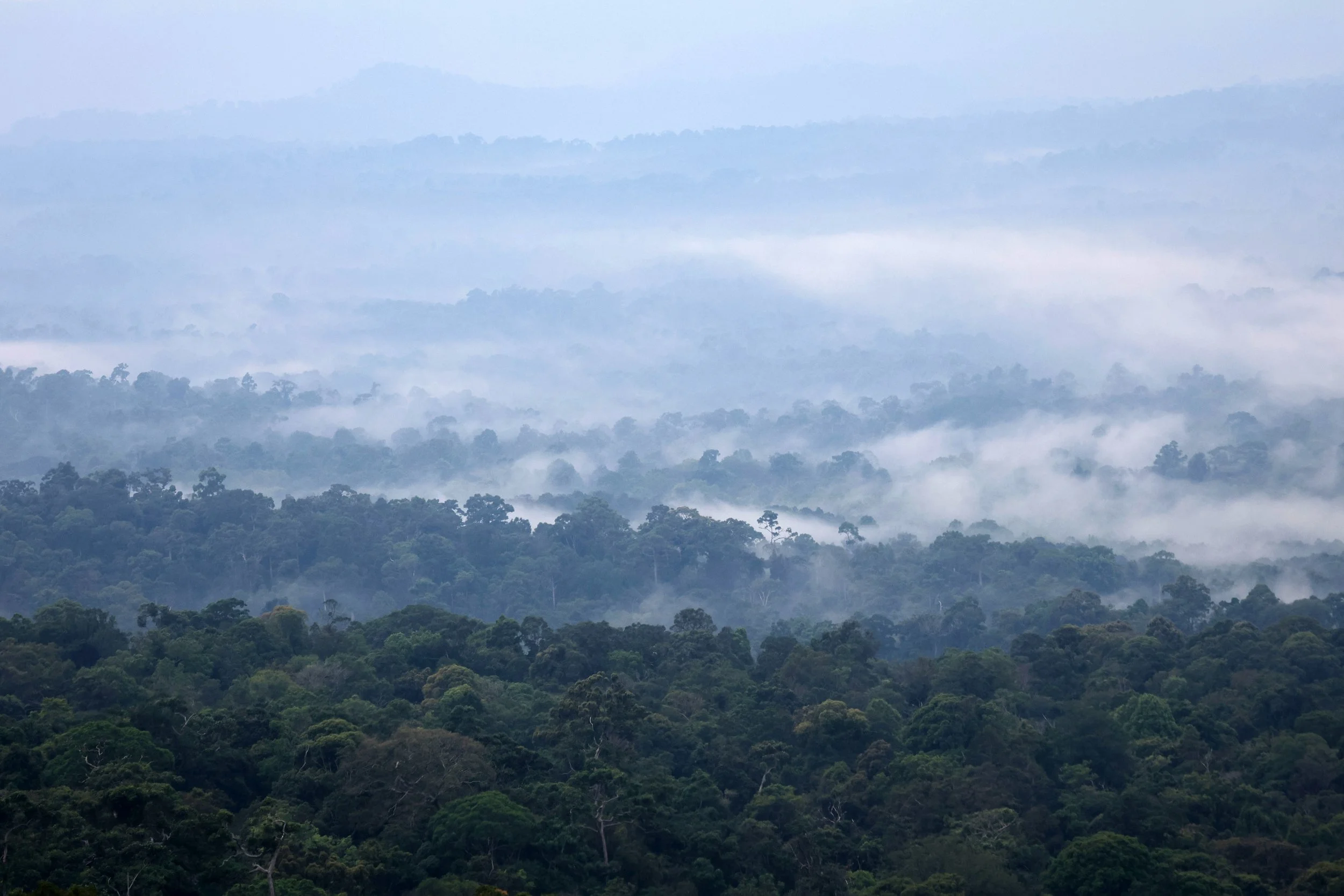 Khao Yai National Park Feb 2026 Day 2 (376).jpg