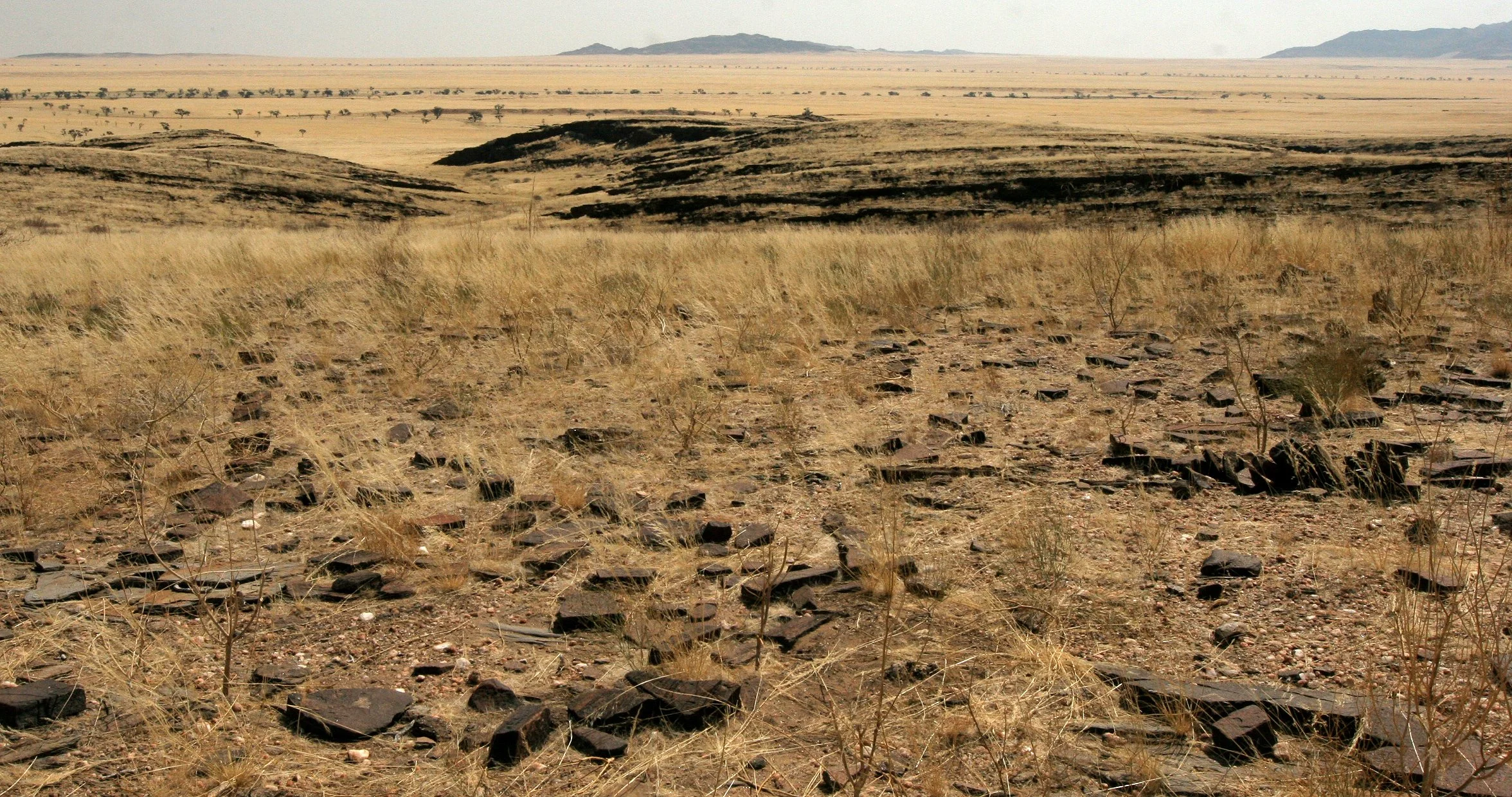 NAMIBIA - NAMIB NAUKLUFT NATIONAL PARK.JPG