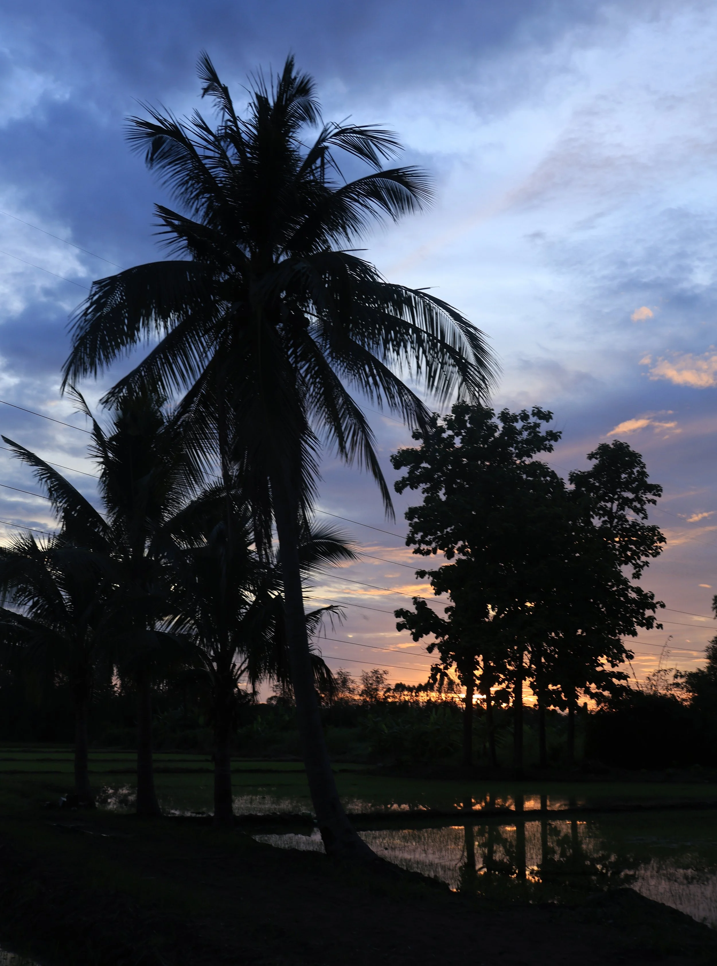 Khao Nor Khao Kaew Bat Viewing Nakhon Sawan (57).jpg