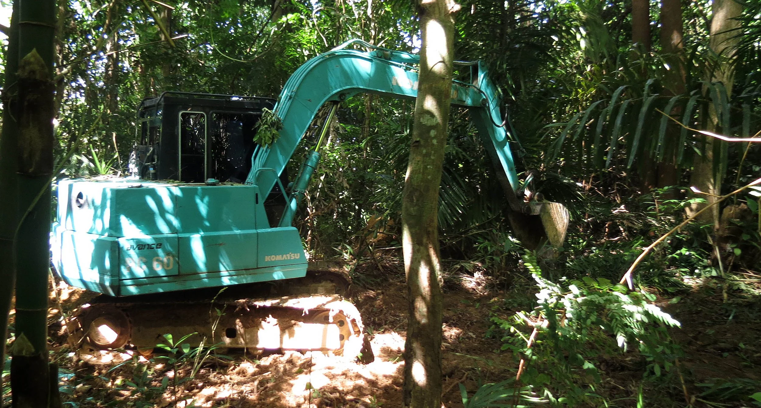 2014 Koh Lanta Build (1).JPG