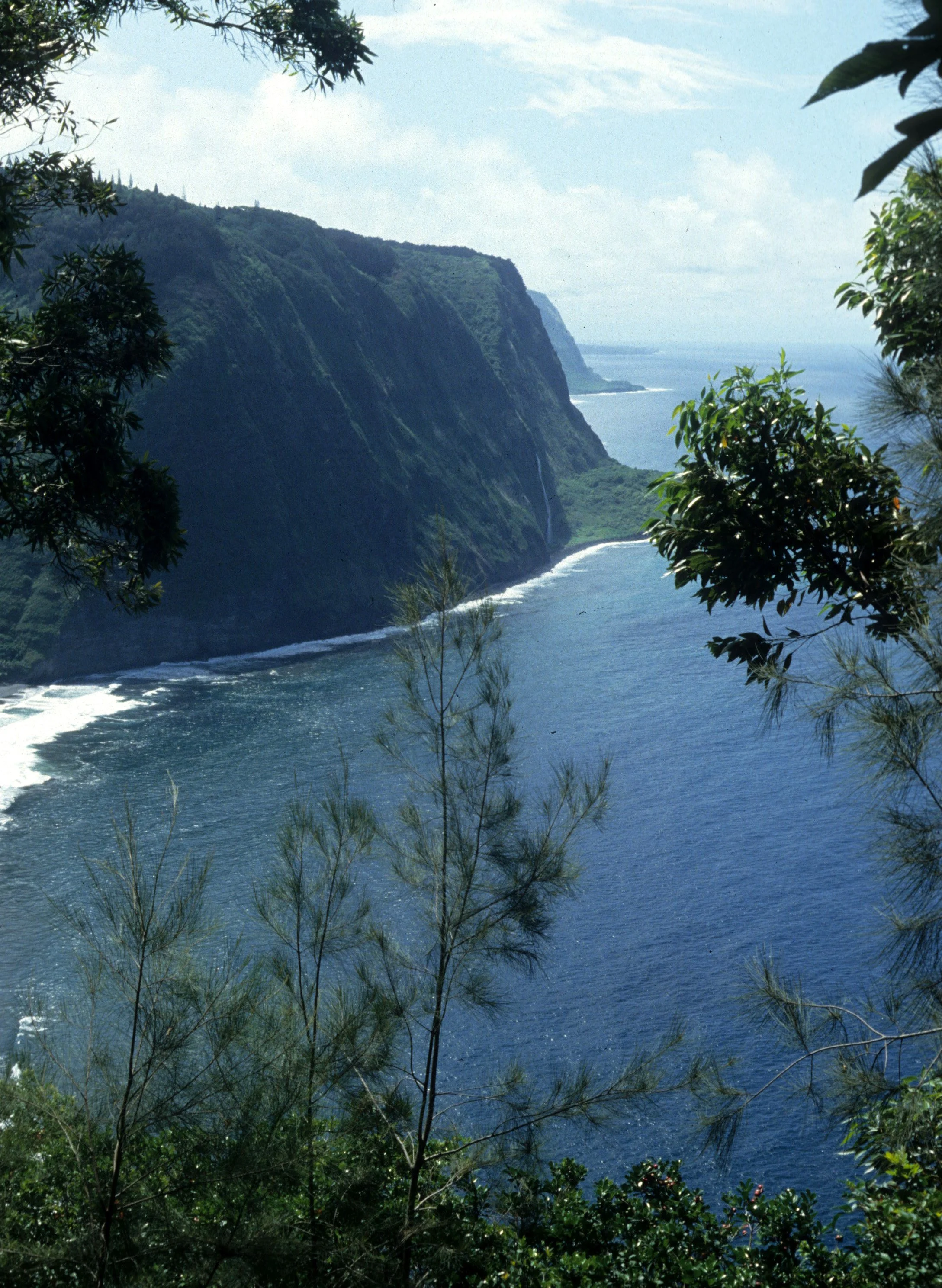 HAWAII - HAWAII - WAIPIO VALLEY.jpg