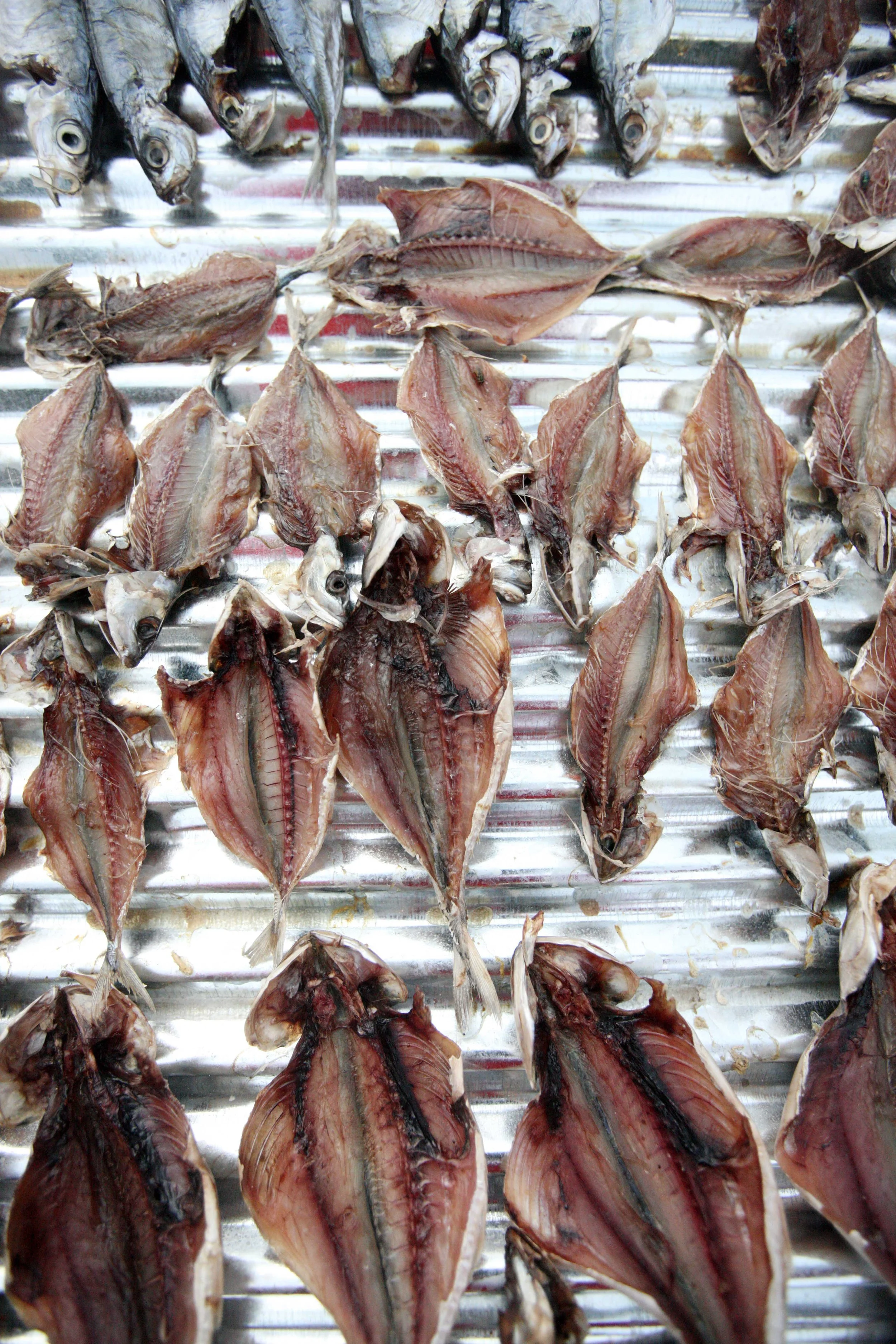 2015 Koh Lanta Songkran with friends from ISB (285).JPG