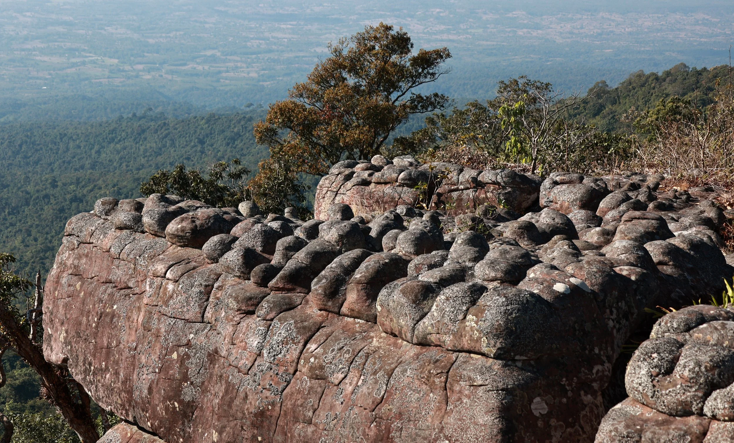 Phu Hin Rong Kla National Park Loei Province (95).jpg