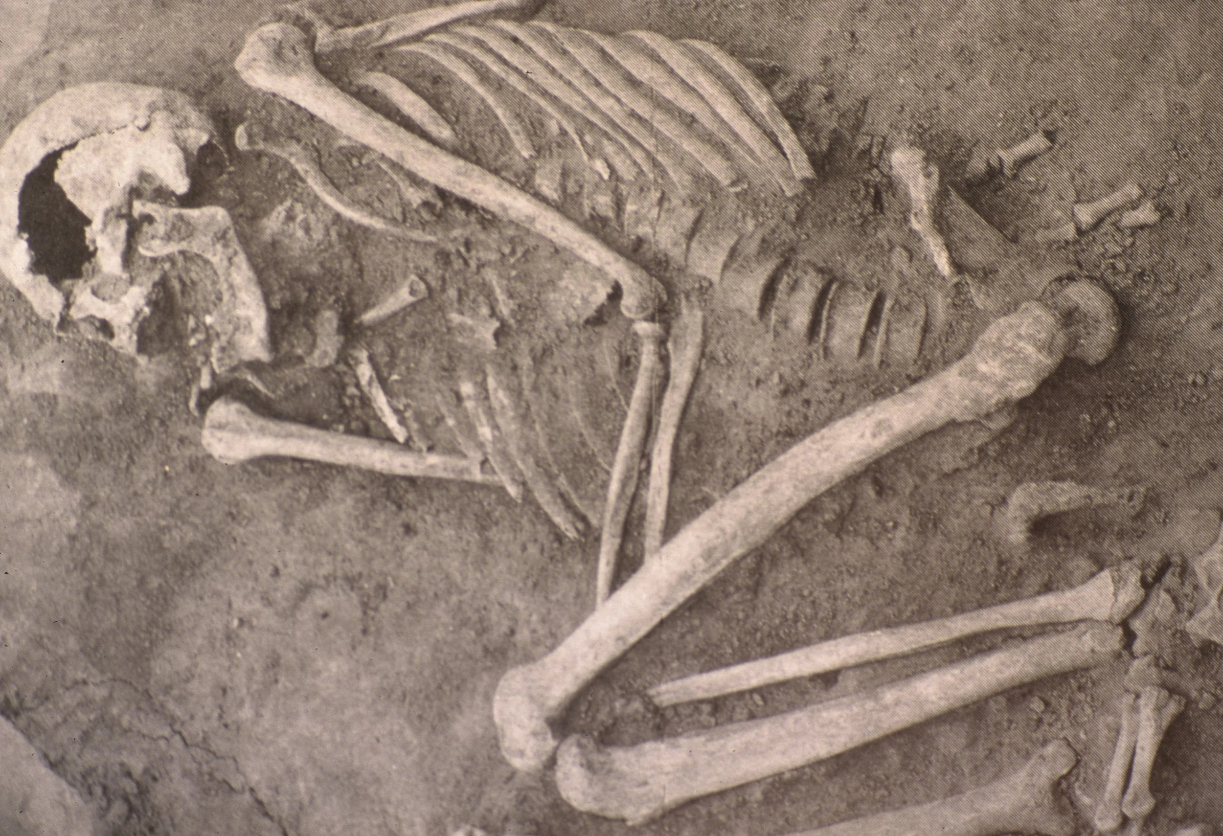 ANASAZILAND - MESA VERDE NATIONAL PARK.jpg