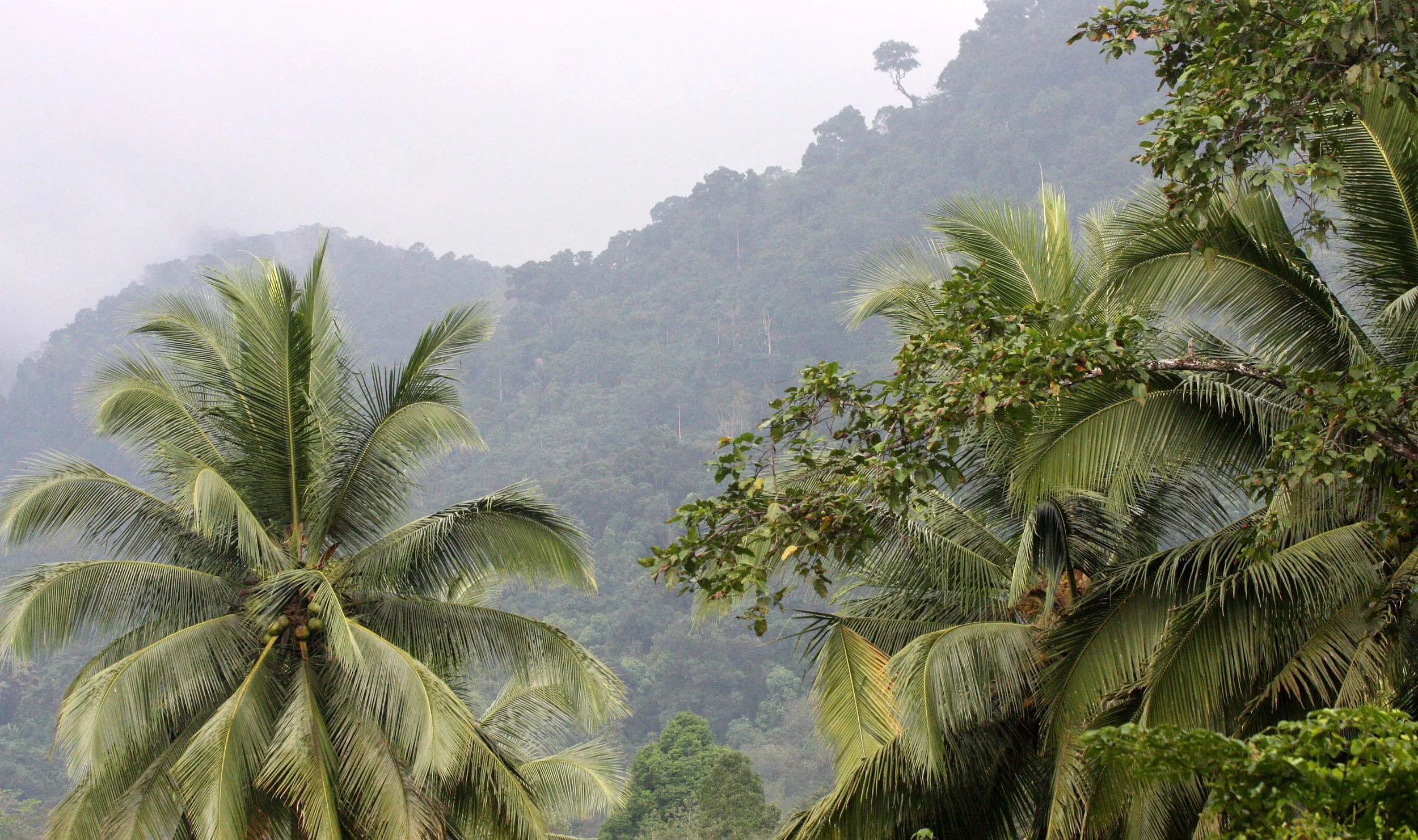 2009 Promluk Property Views (8).JPG