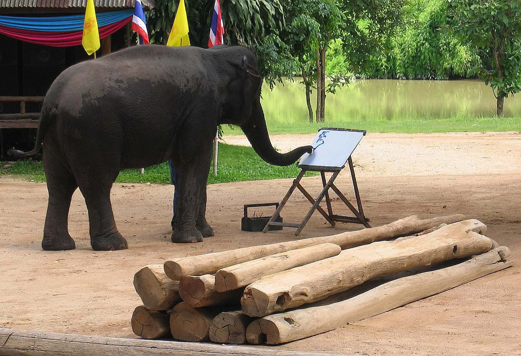 2008 Lampang City & Elephant Center (142).jpg