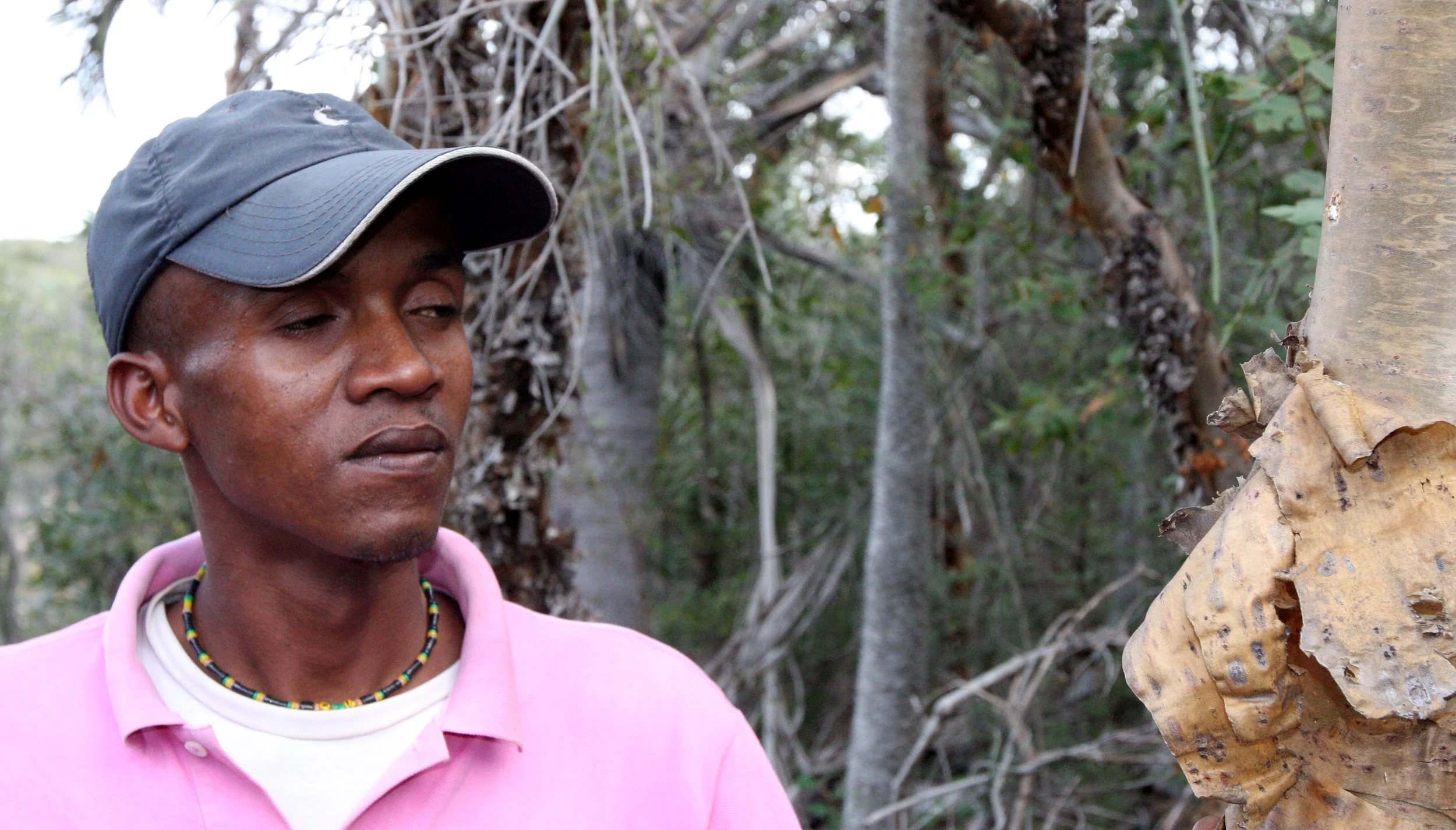 PLANT - SPECIES - ANDOHAHELA NATIONAL PARK MADGASCAR (25).JPG