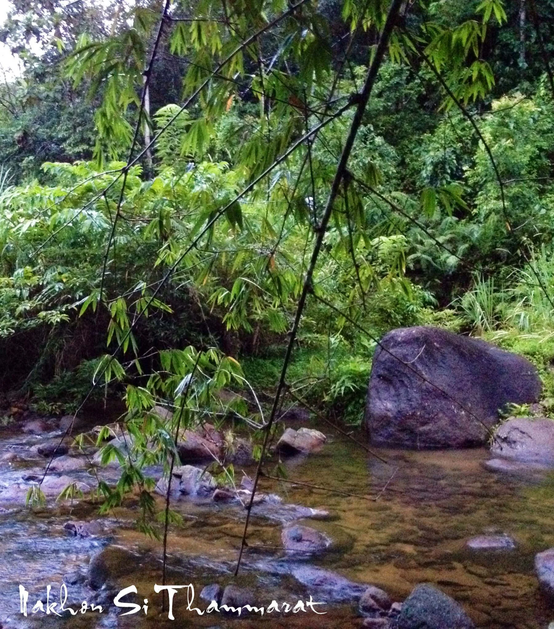 2013 in Nakhonsithammarat and some Krabi with Family (268).JPG