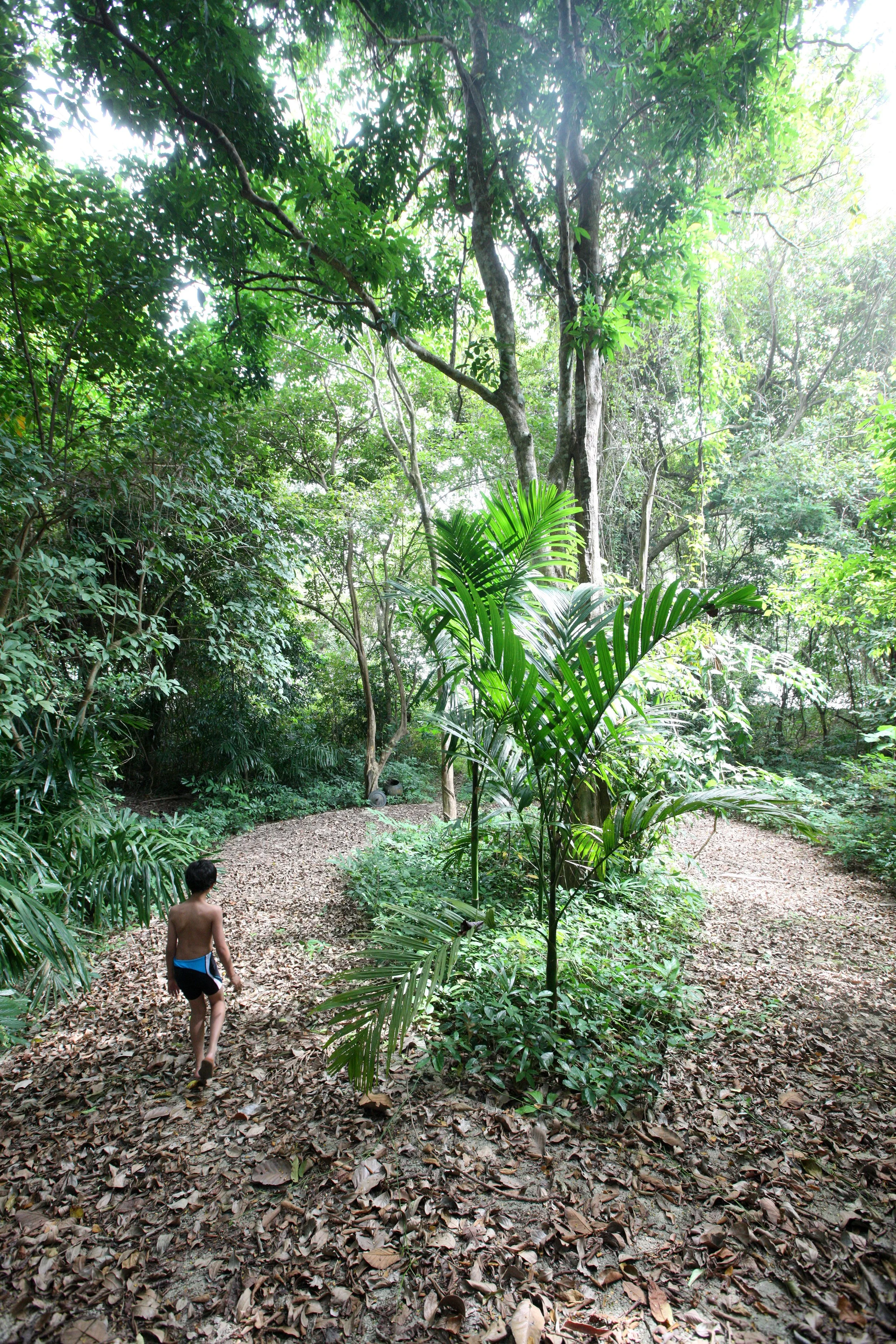 LANTA ISLAND - OUR PROPERTY - WINTER 2011 (9).JPG