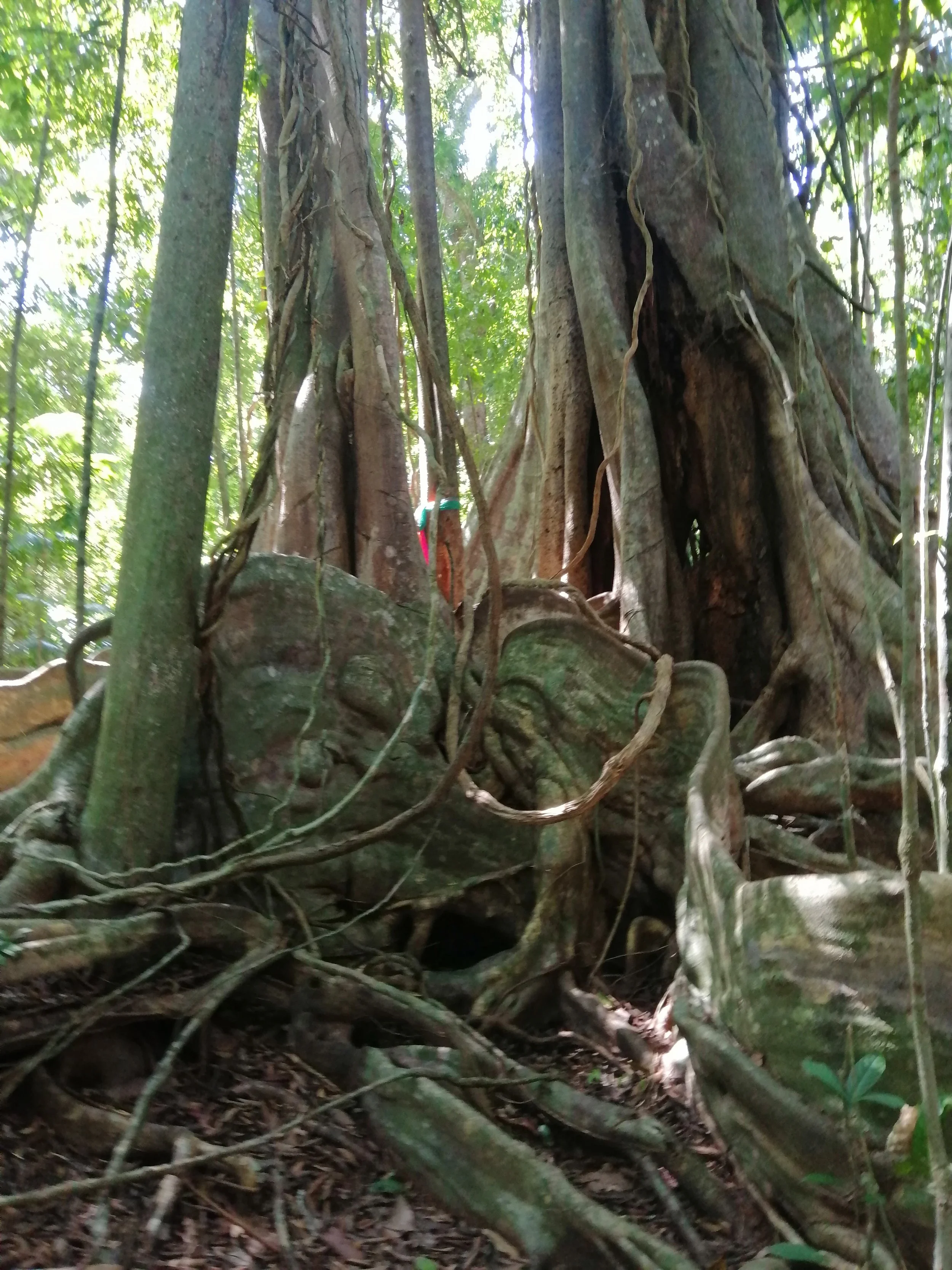 2019 Koh Kood Road Trip (52).jpg
