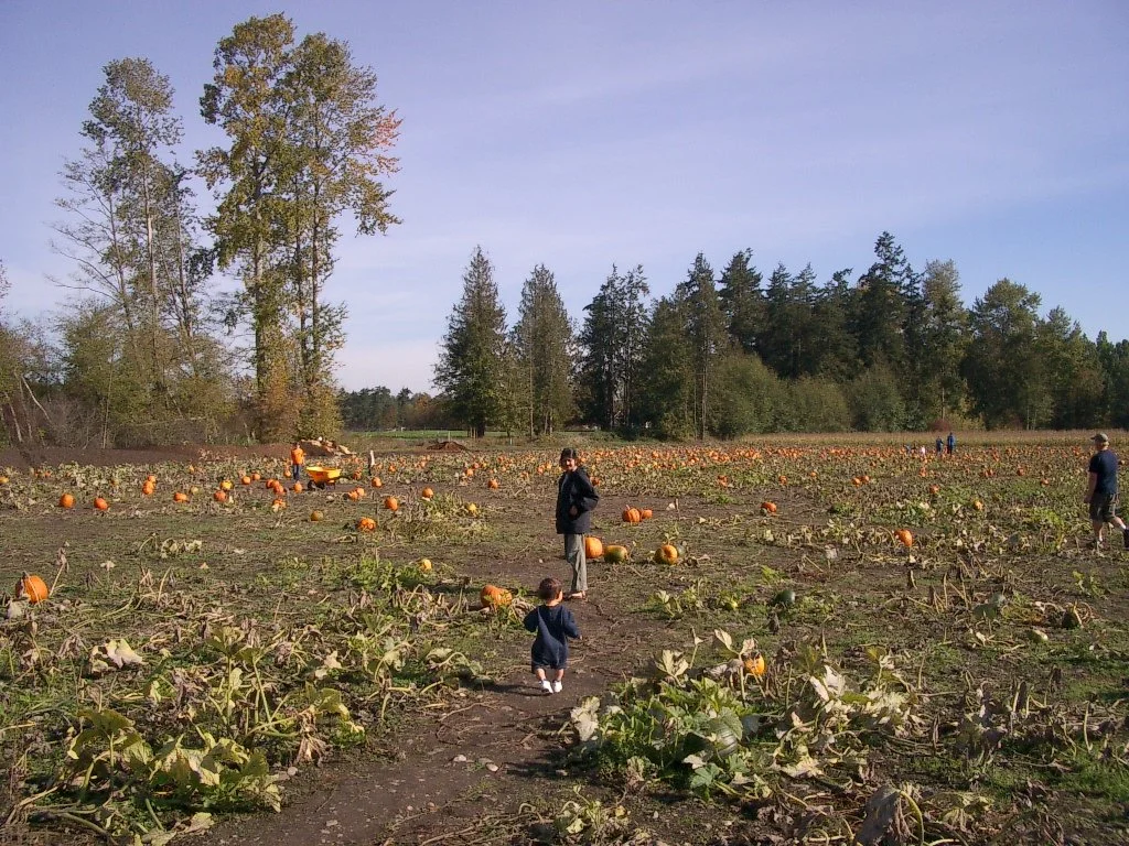 2003-10-26 PUMPKIN PATCH PORT ANGELES (13).JPG