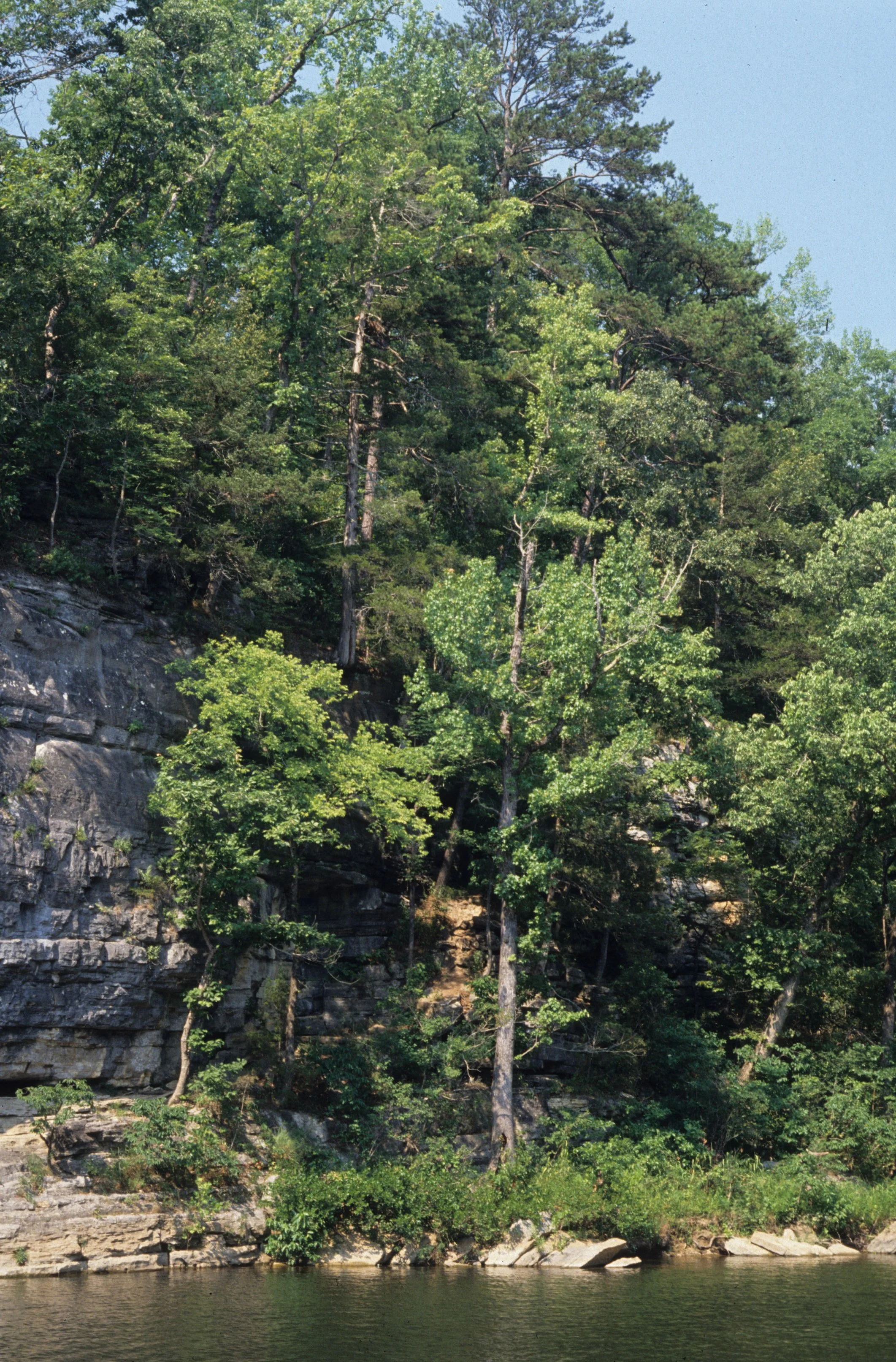 ARKANSAS - BUFFALO SPRINGS NM.jpg