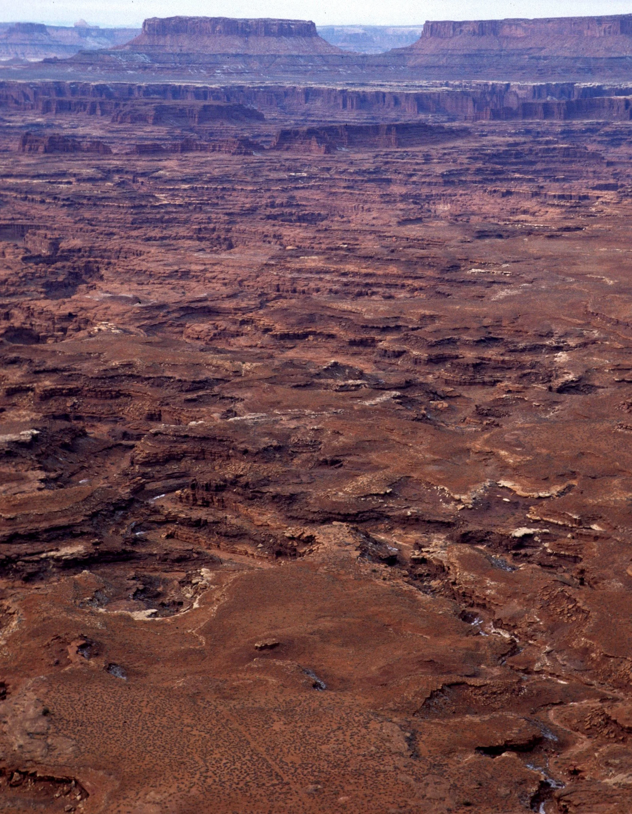 UTAH - CANYONLANDS NP E (2).jpg