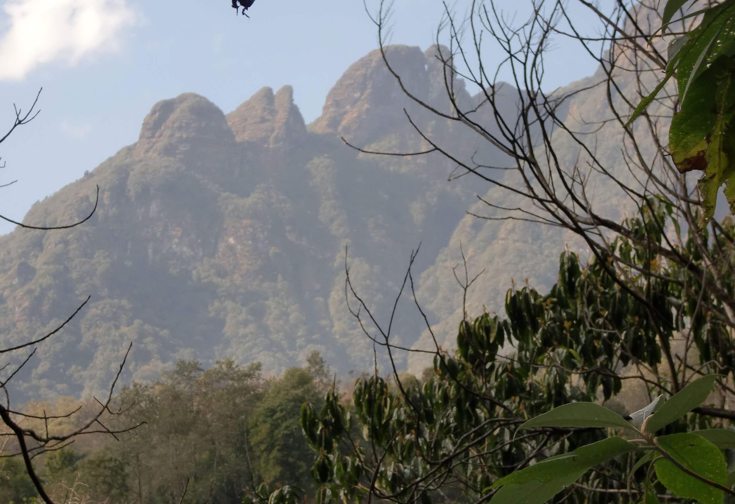 YUNNAN - WULIANGSHAN NATURE RESERVE AND SURROUNDING MOUNTAINS (21).JPG