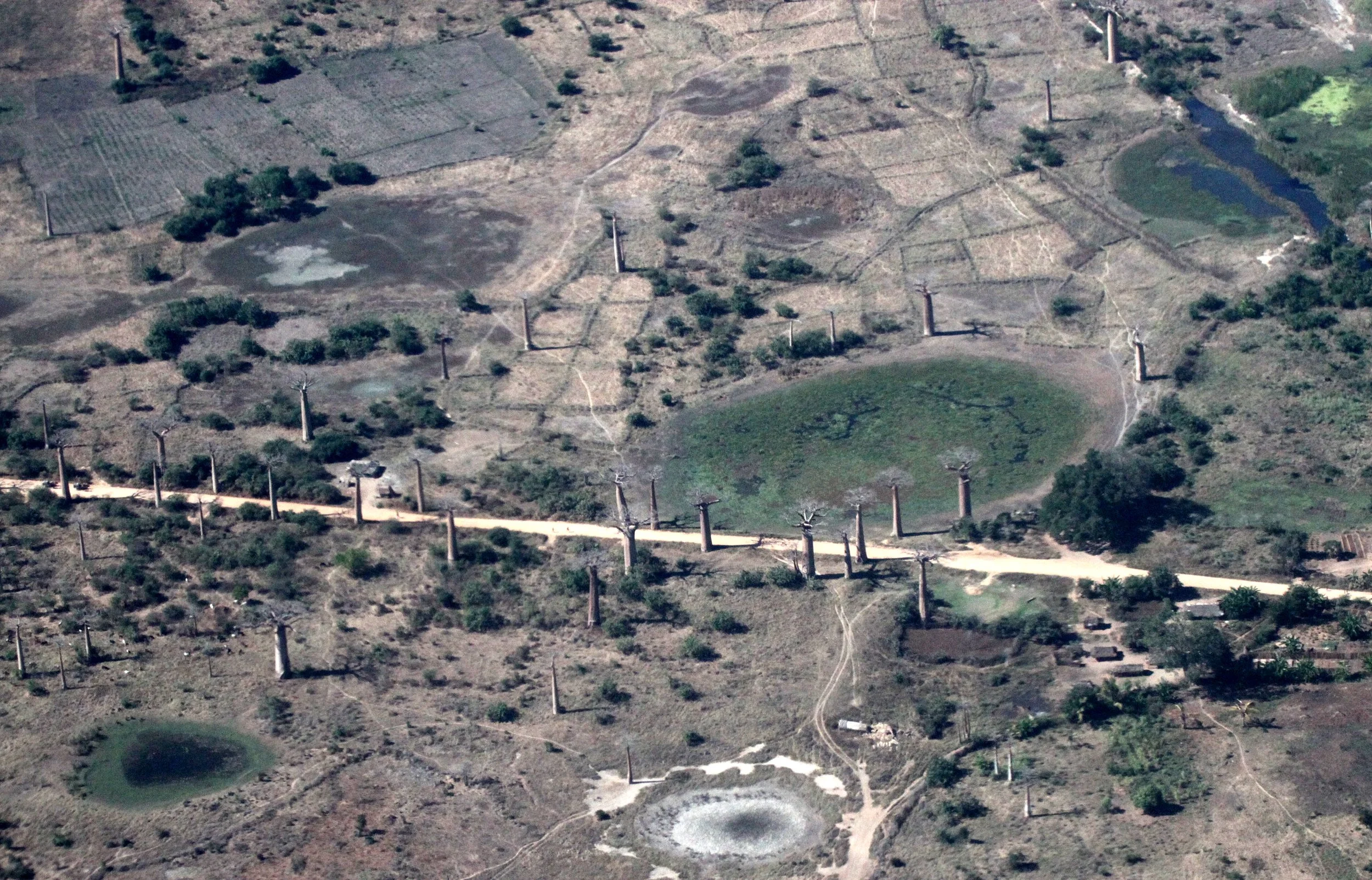 MODONDAVA MADAGASCAR - AVENUE DU BAOBABS FROM THE AIR (5).JPG