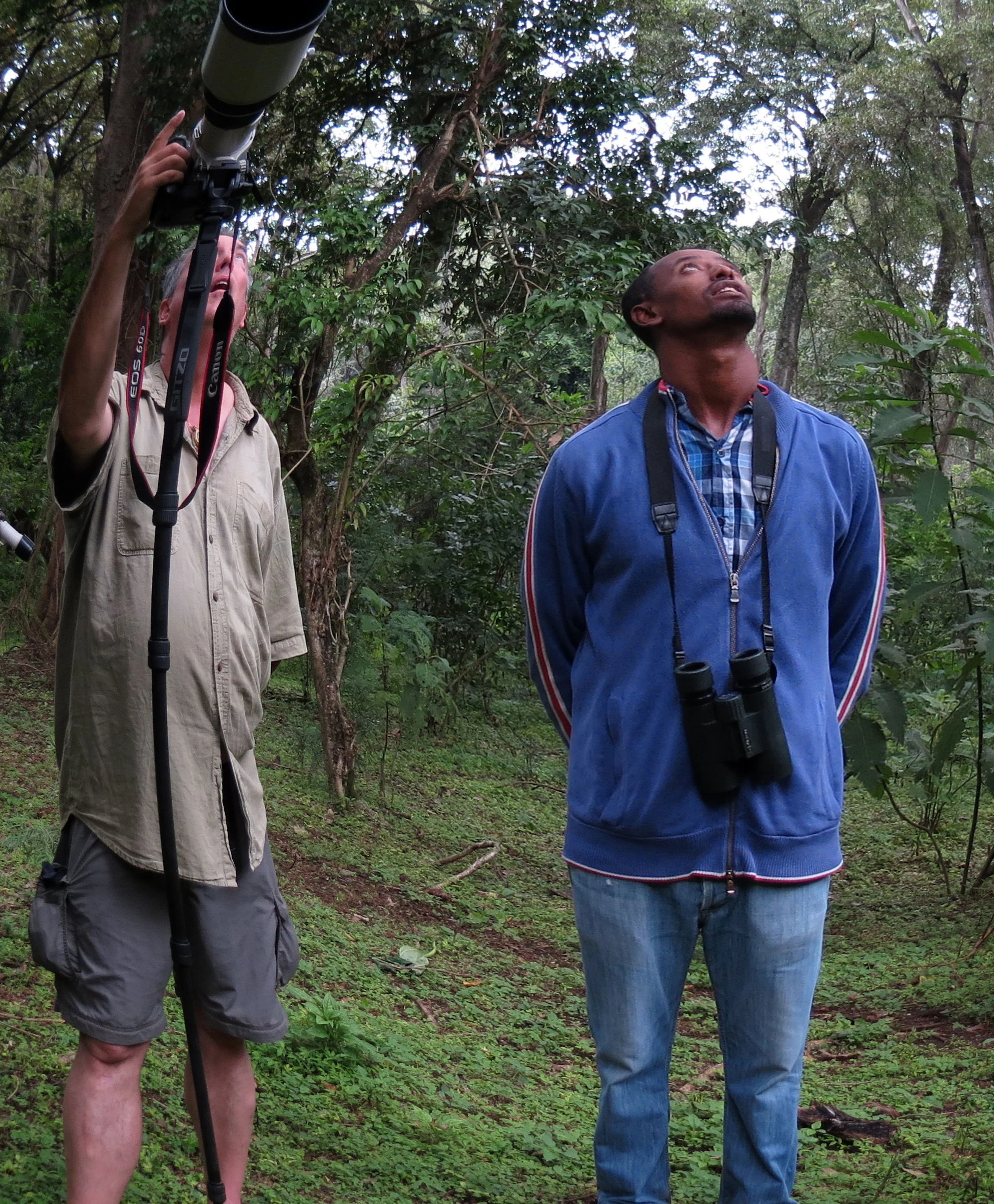 LANGANO LAKE ETHIOPIA - BISHANGARI LODGE AND SURROUNDING FOREST (11).JPG