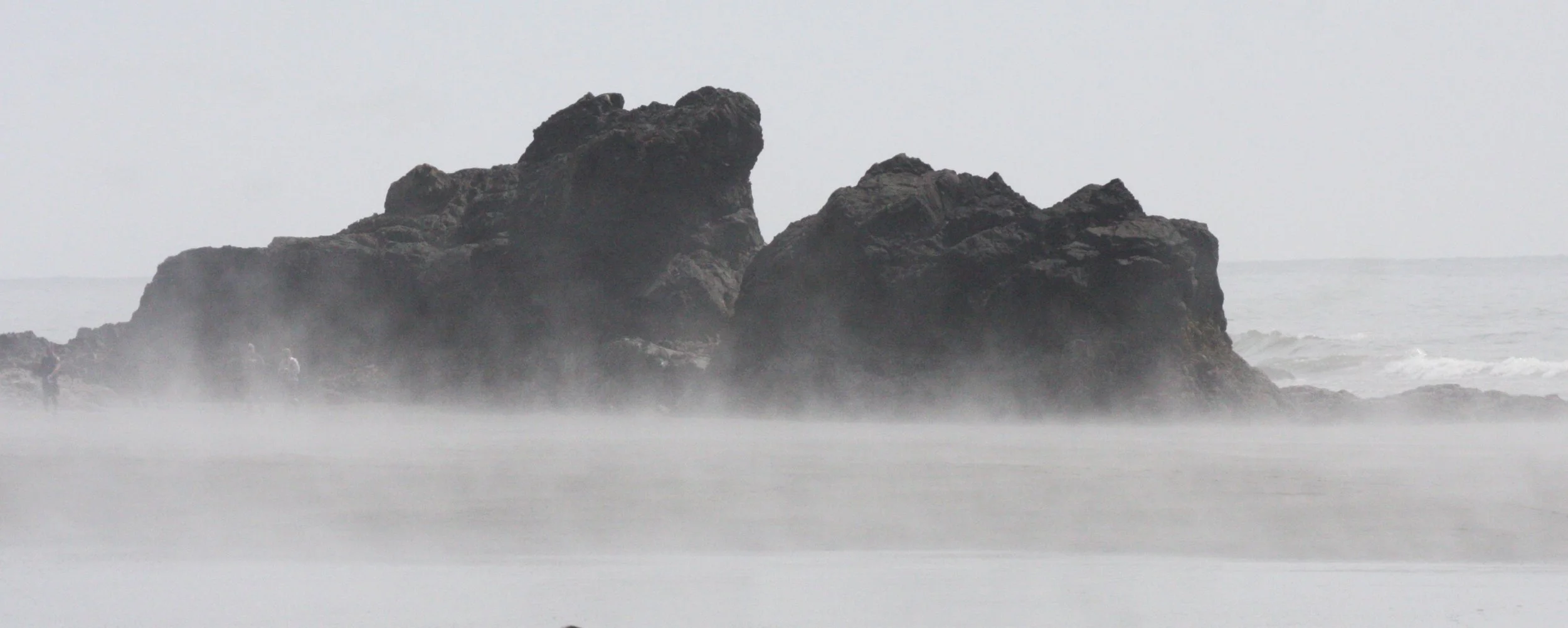 RUBY BEACH SEA STACKS.JPG
