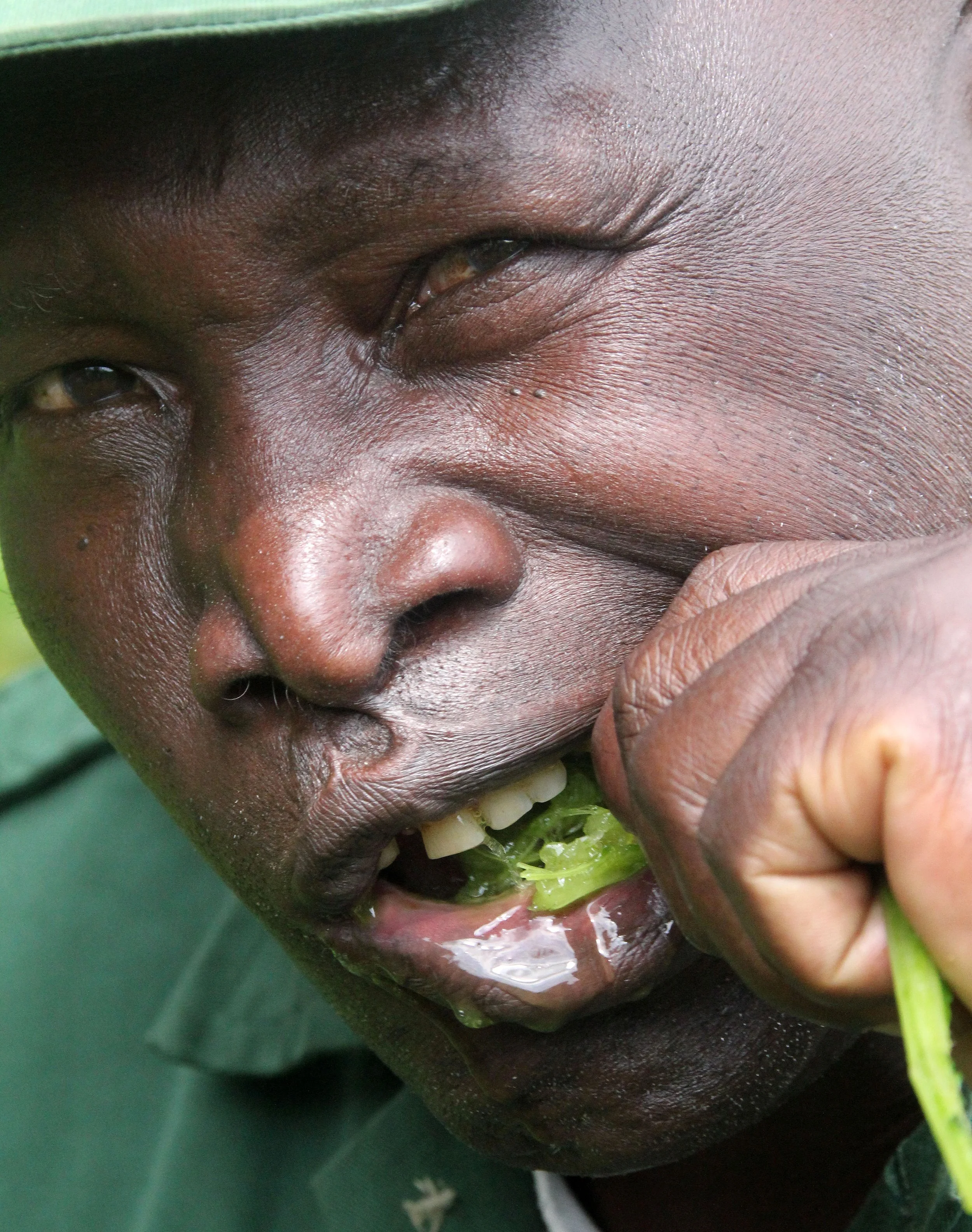 PARC DU VULCANS RWANDA 2012 (166).JPG