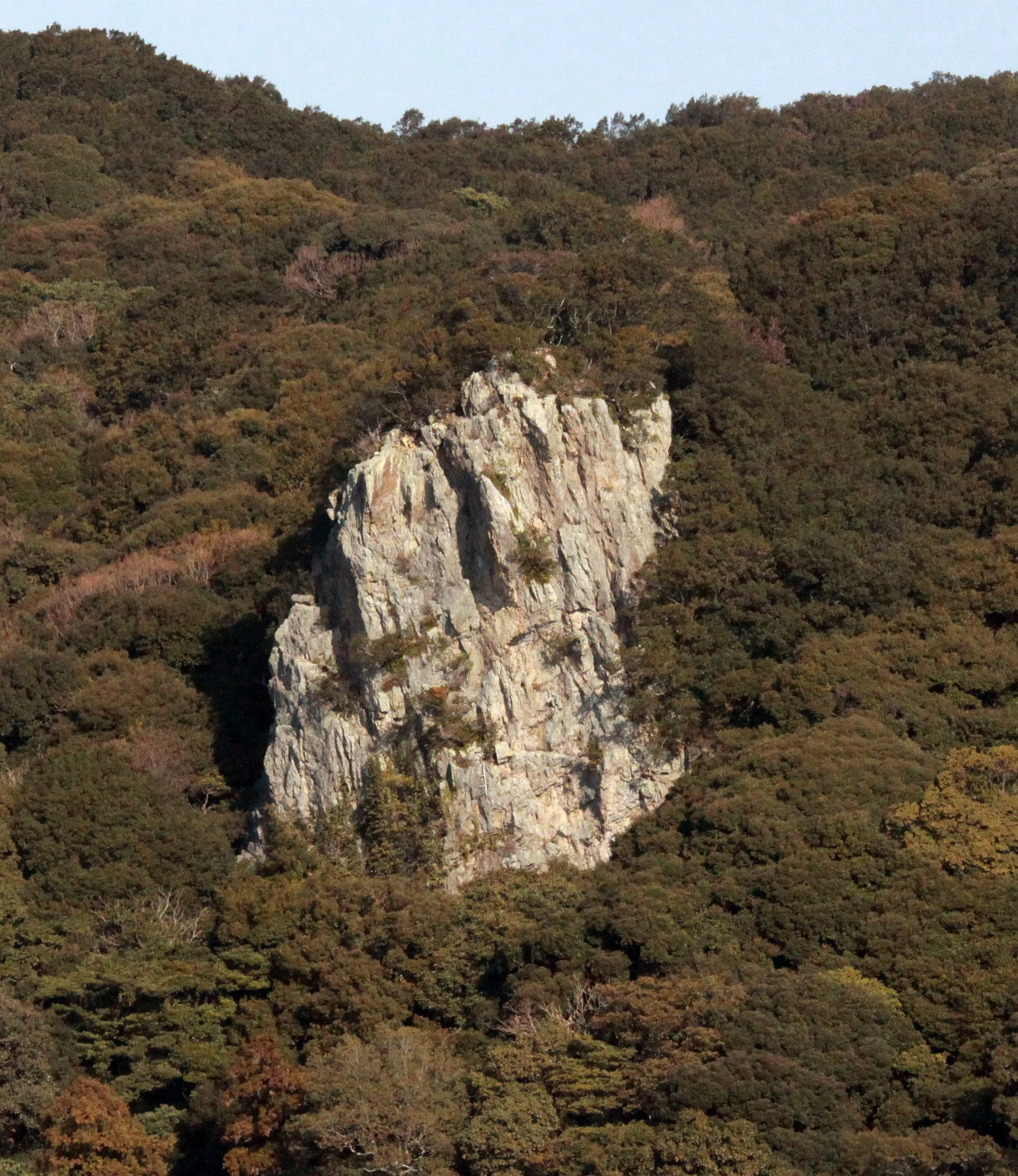 TOBA HARBOR JAPAN (5).JPG