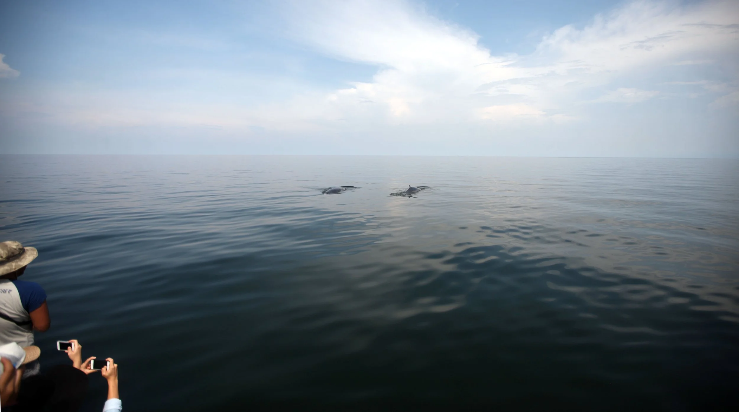 2014 Amphawa Trip to See Whales from Baan Taboon (66).JPG