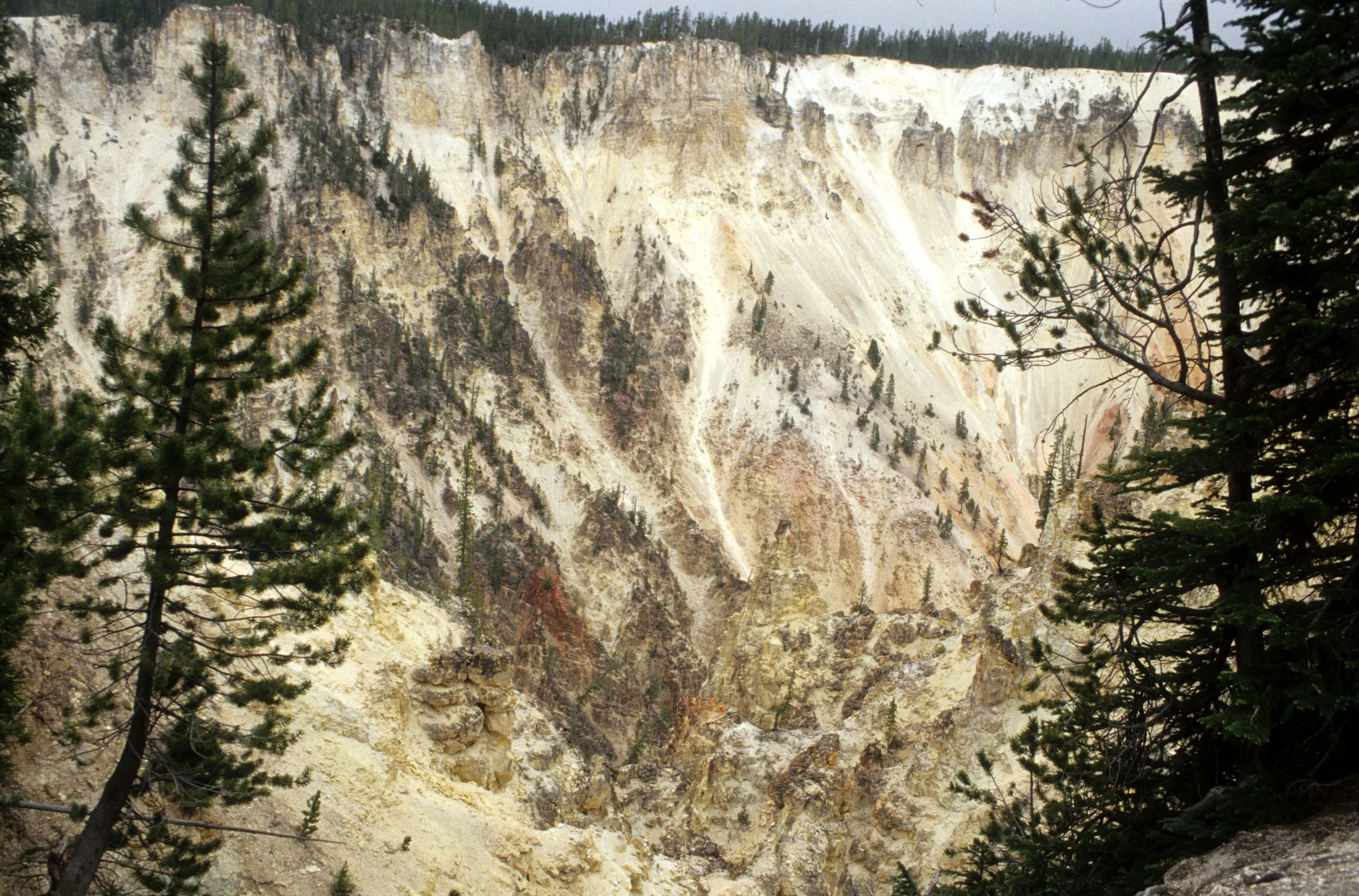 YELLOWSTONE - CANYON VIEW F.jpg