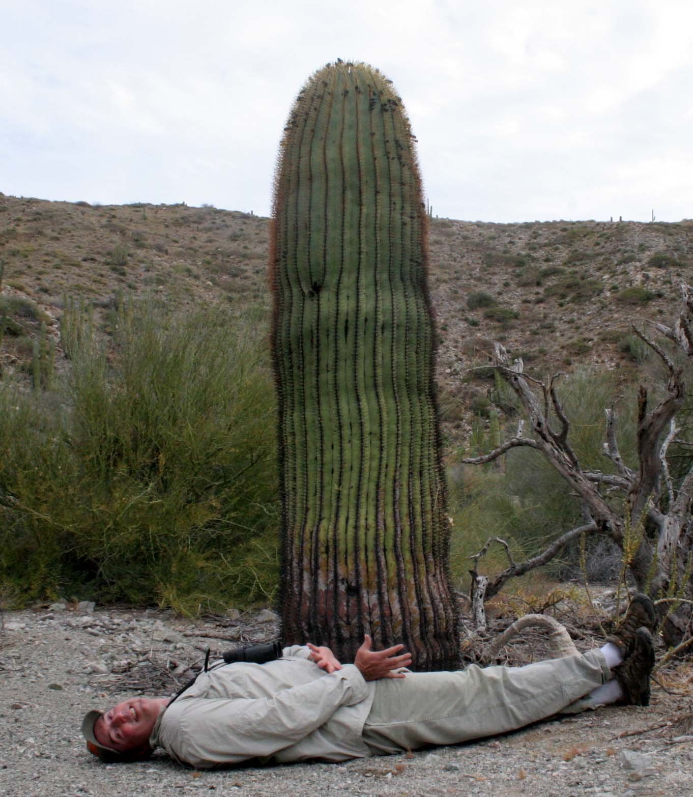 ISLA CATALINA - WITH THE CATALINA BARREL CACTUS (9).JPG