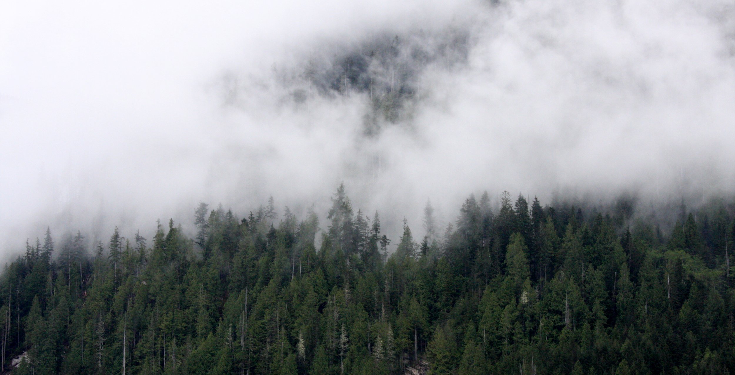 KNIGHT'S INLET BRITISH COLUMBIA (29).JPG