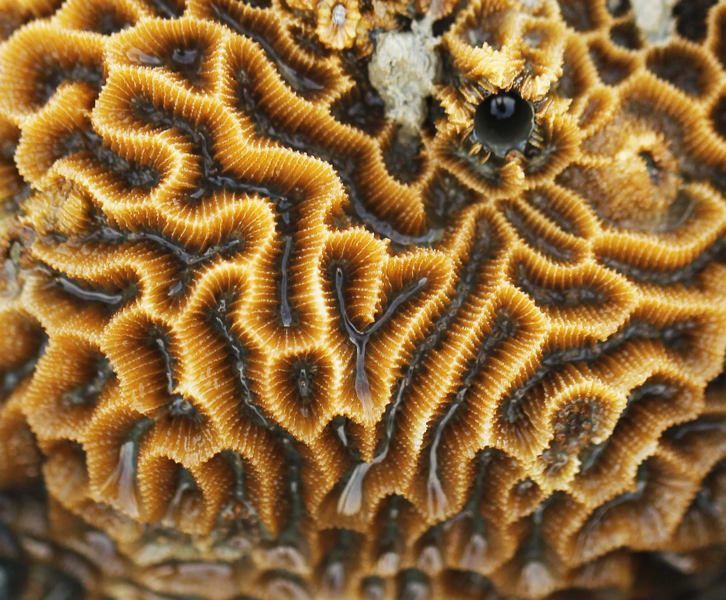 2015 Koh Lanta Songkran with friends from ISB (639).JPG