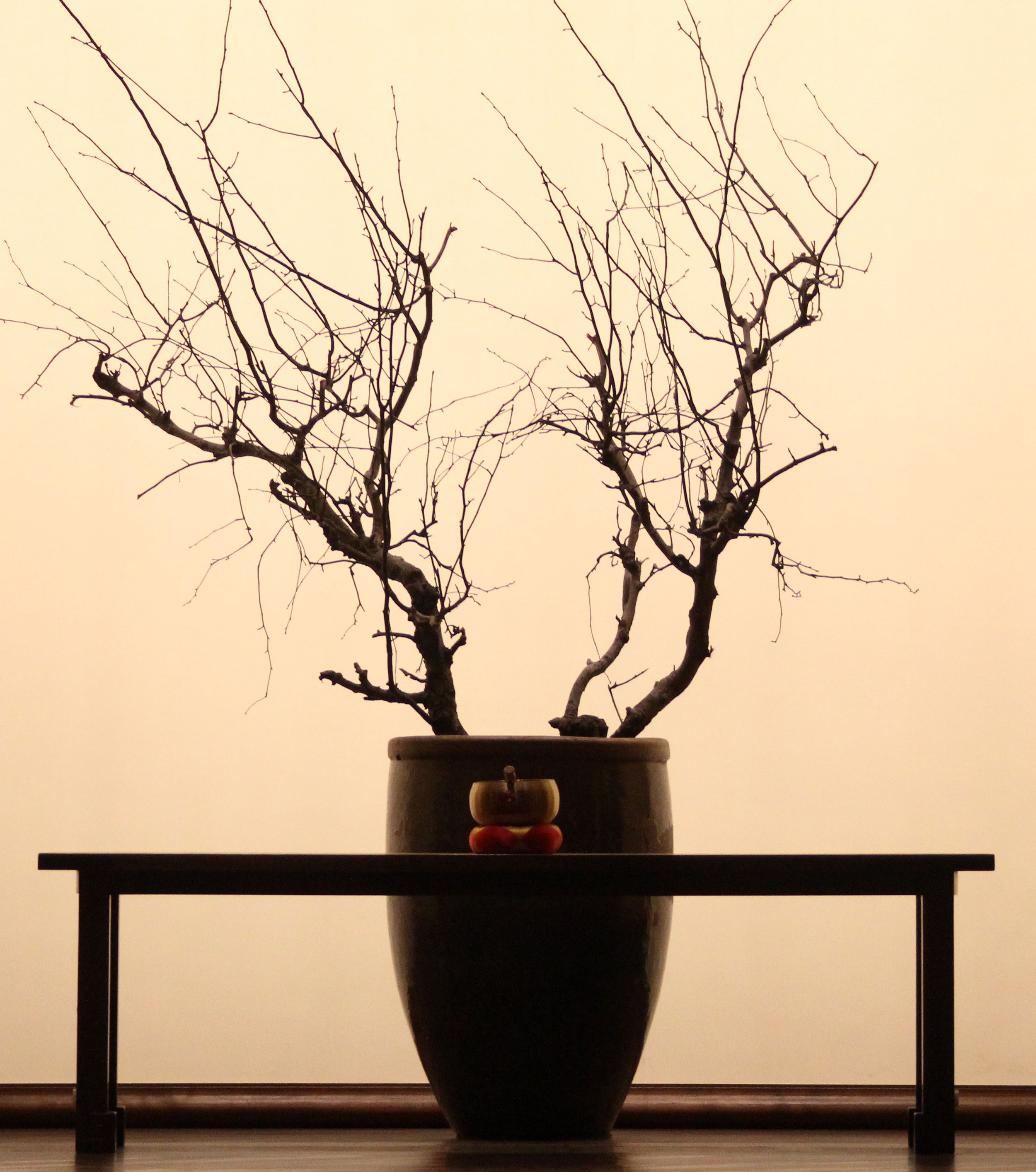 LING SHAN - WUXI CHINA (105).JPG