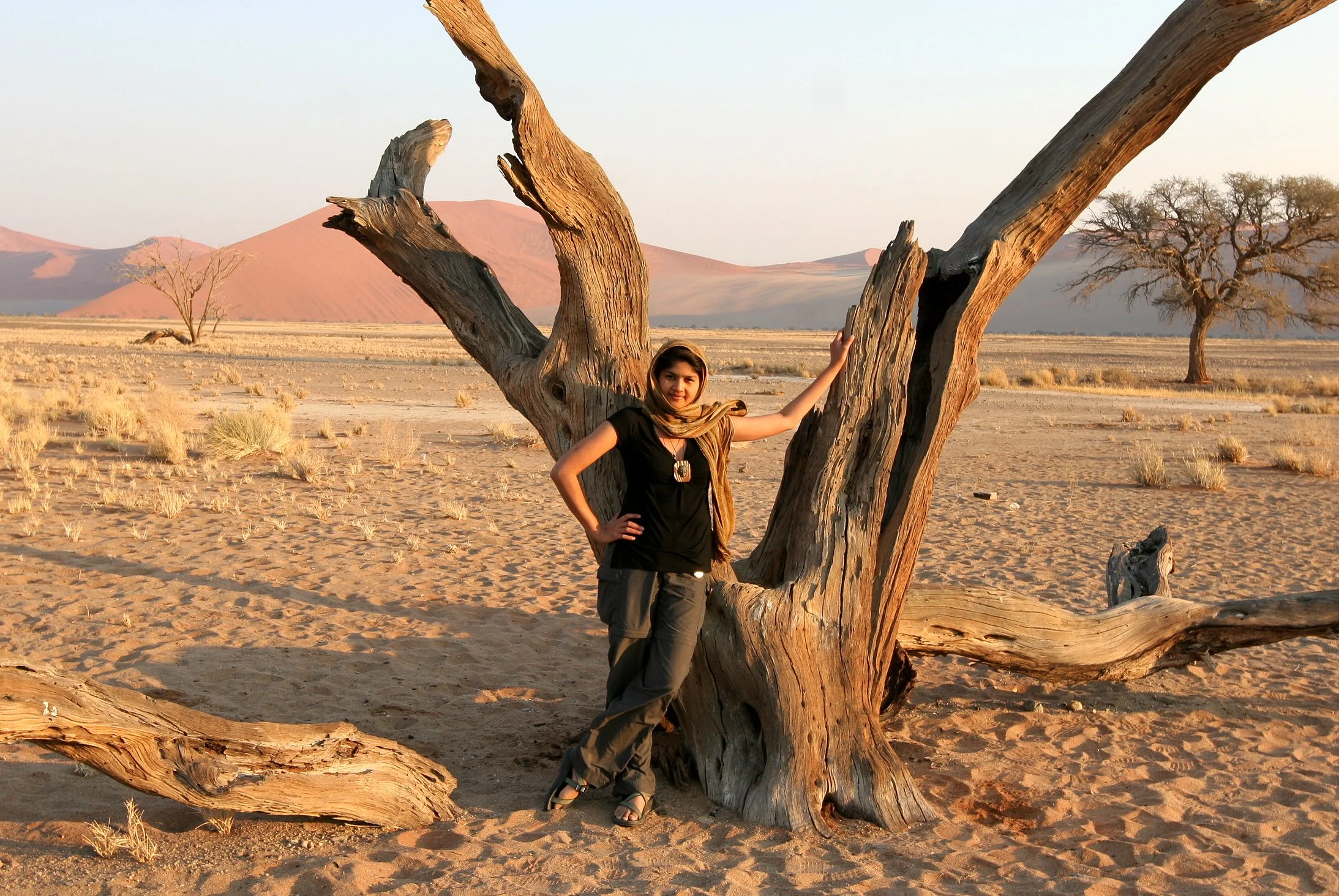 NAMIBIA - SOSSUSVLEI - DUNES - NAMIBIA (24).JPG