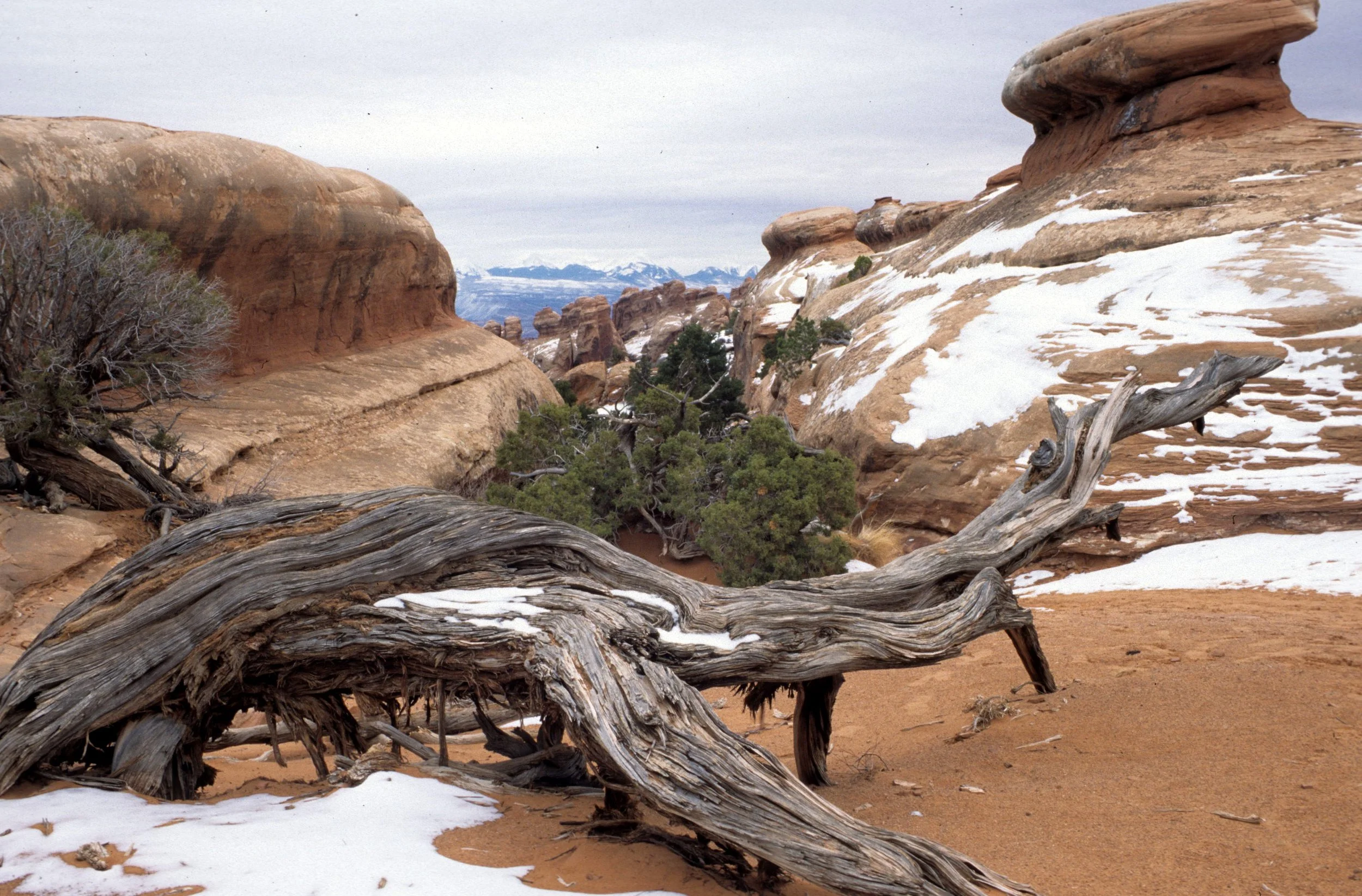 UTAH - ARCHES NP ZZ.jpg