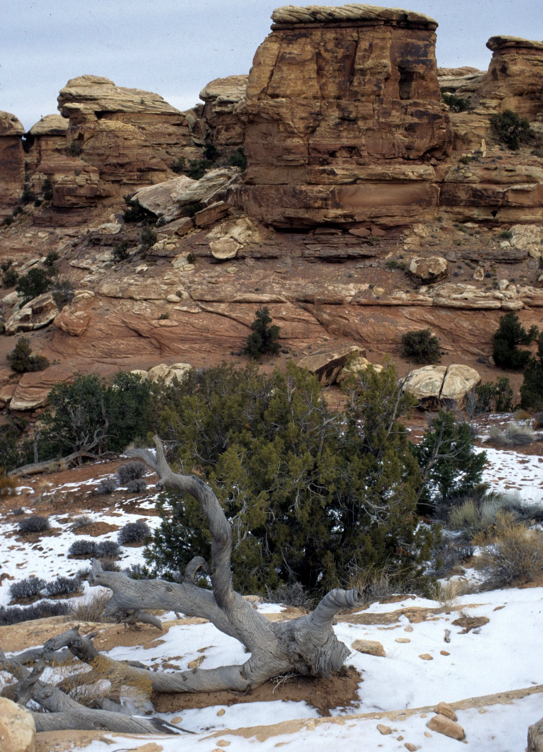 UTAH - CANYONLANDS NP GG.jpg