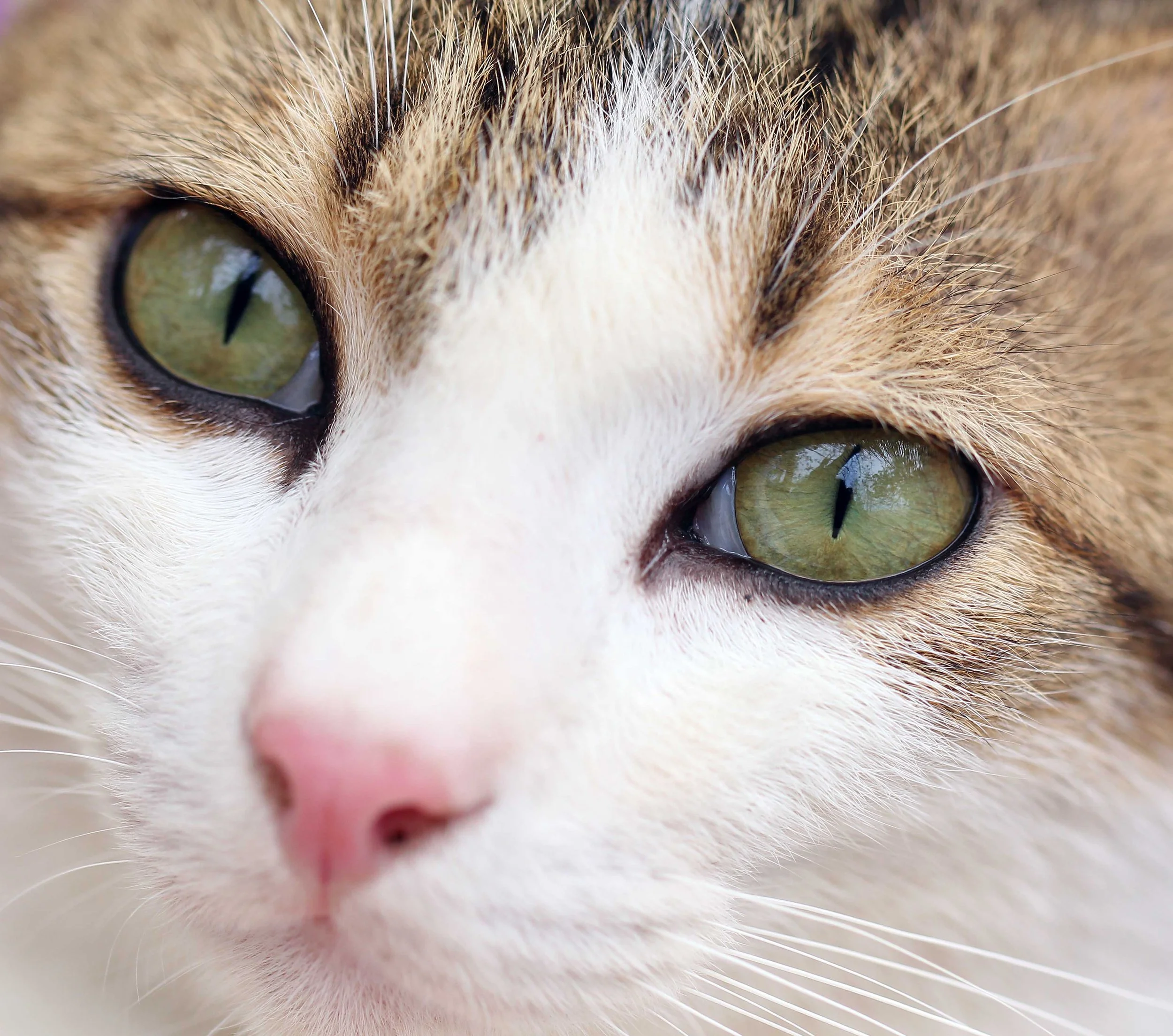 2015 Koh Lanta Songkran with friends from ISB (371).JPG