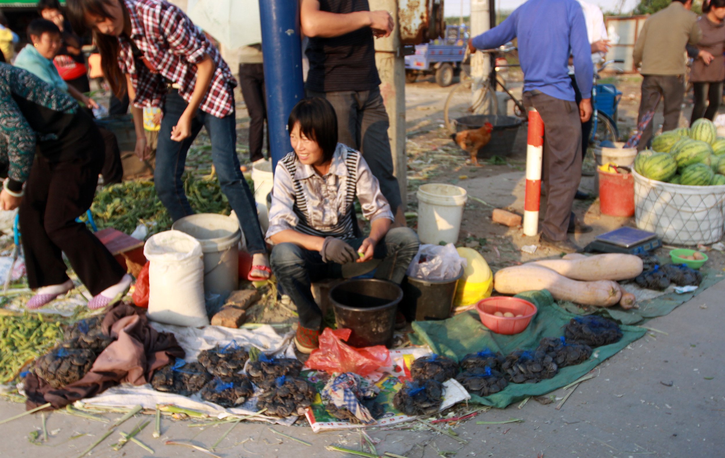 CHONGMING ISLAND - DONGTAN WETLANDS RESERVE - CHINA (33).JPG