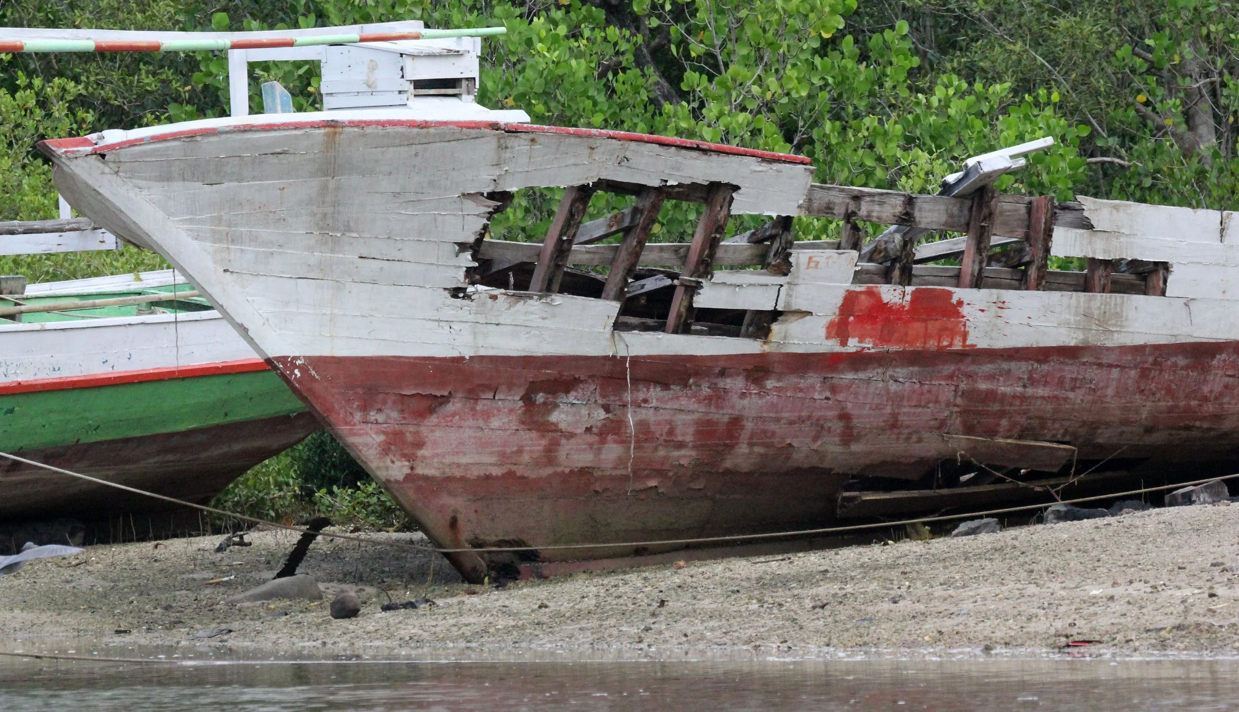 TANGKOKO NATIONAL PARK, SULAWESI INDONESIA (9).JPG