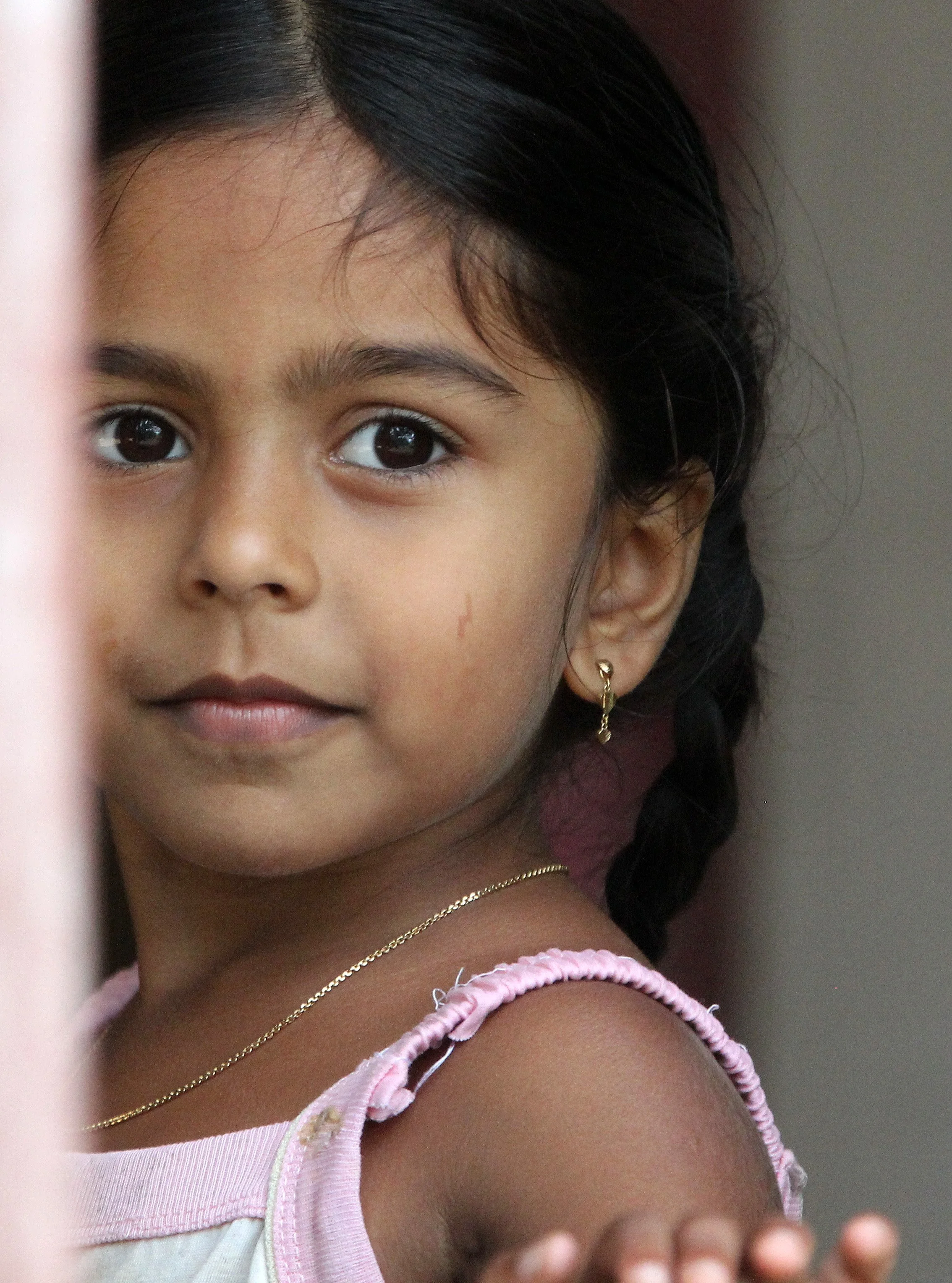 KITULGALA NATIONAL FOREST RESERVE SRI LANKA (1).JPG