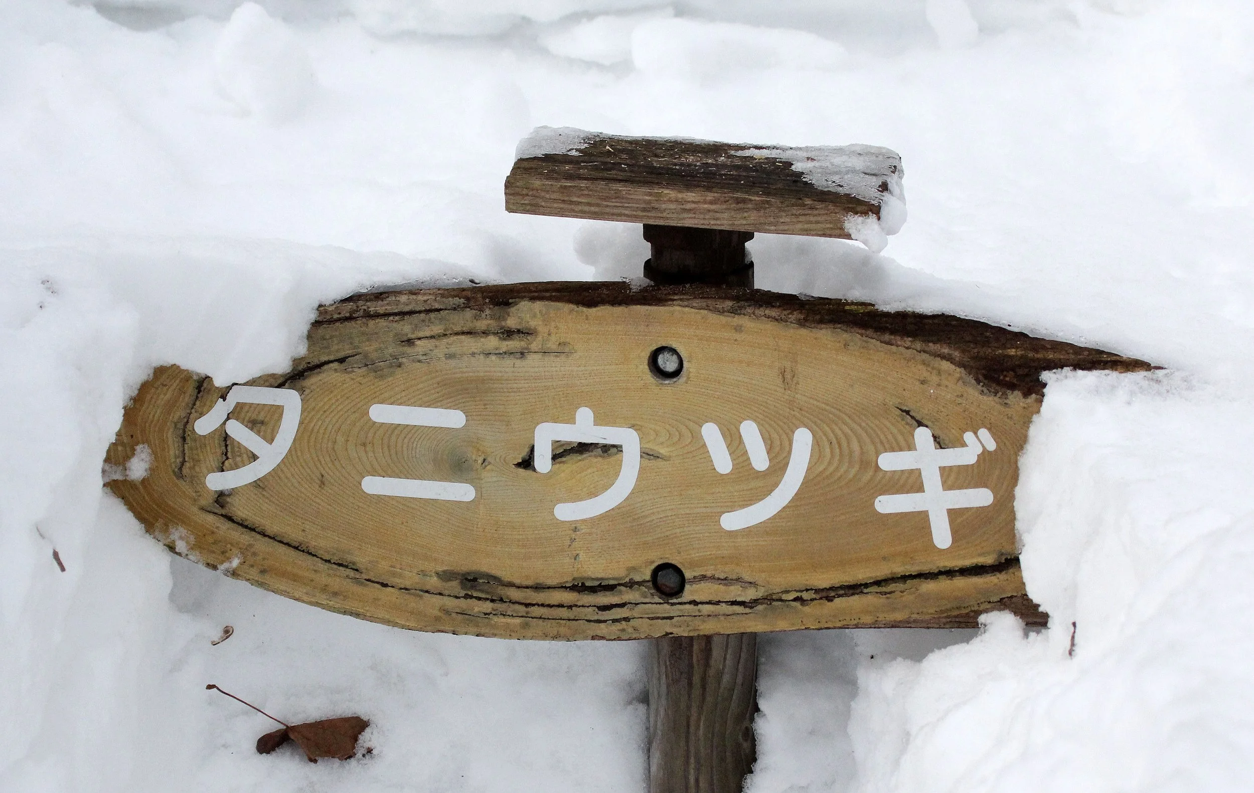 KINOHIROBA PARK - ABASHIRI - HOKKAIDO JAPAN (28).JPG