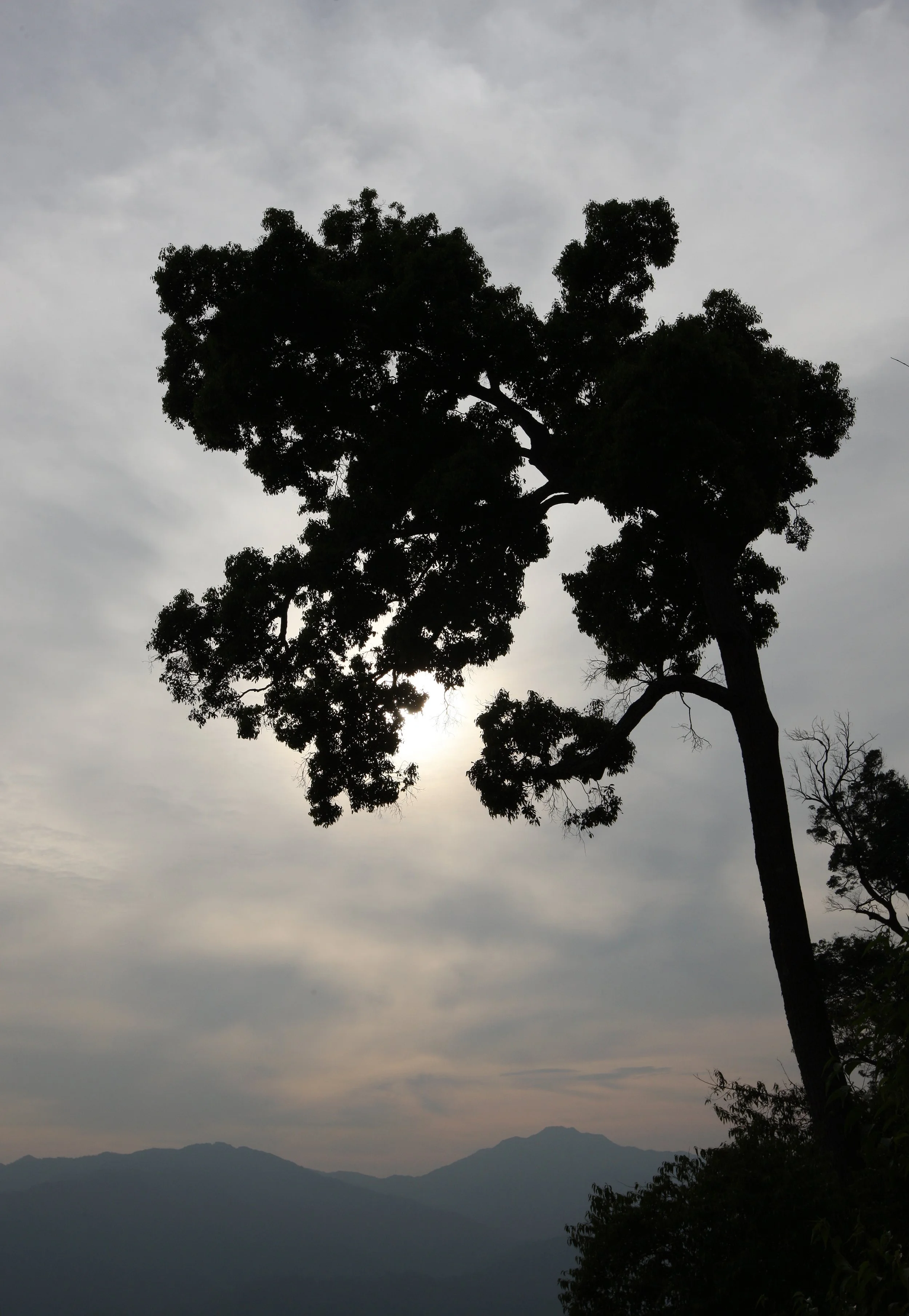 KAENG KRACHAN NP THAILAND - FOREST SCENES (18).JPG
