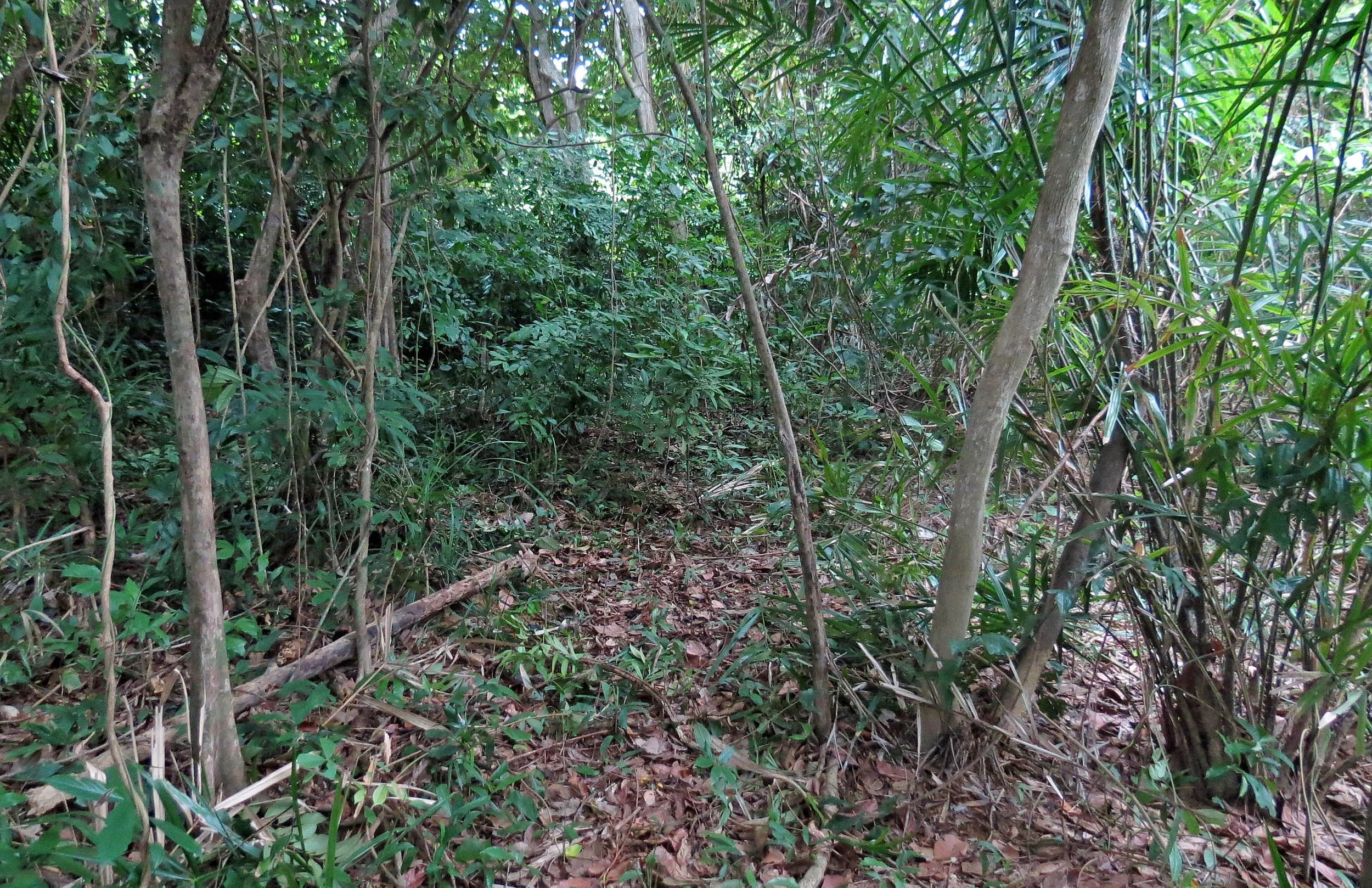 2014 Koh Lanta Build (134).JPG