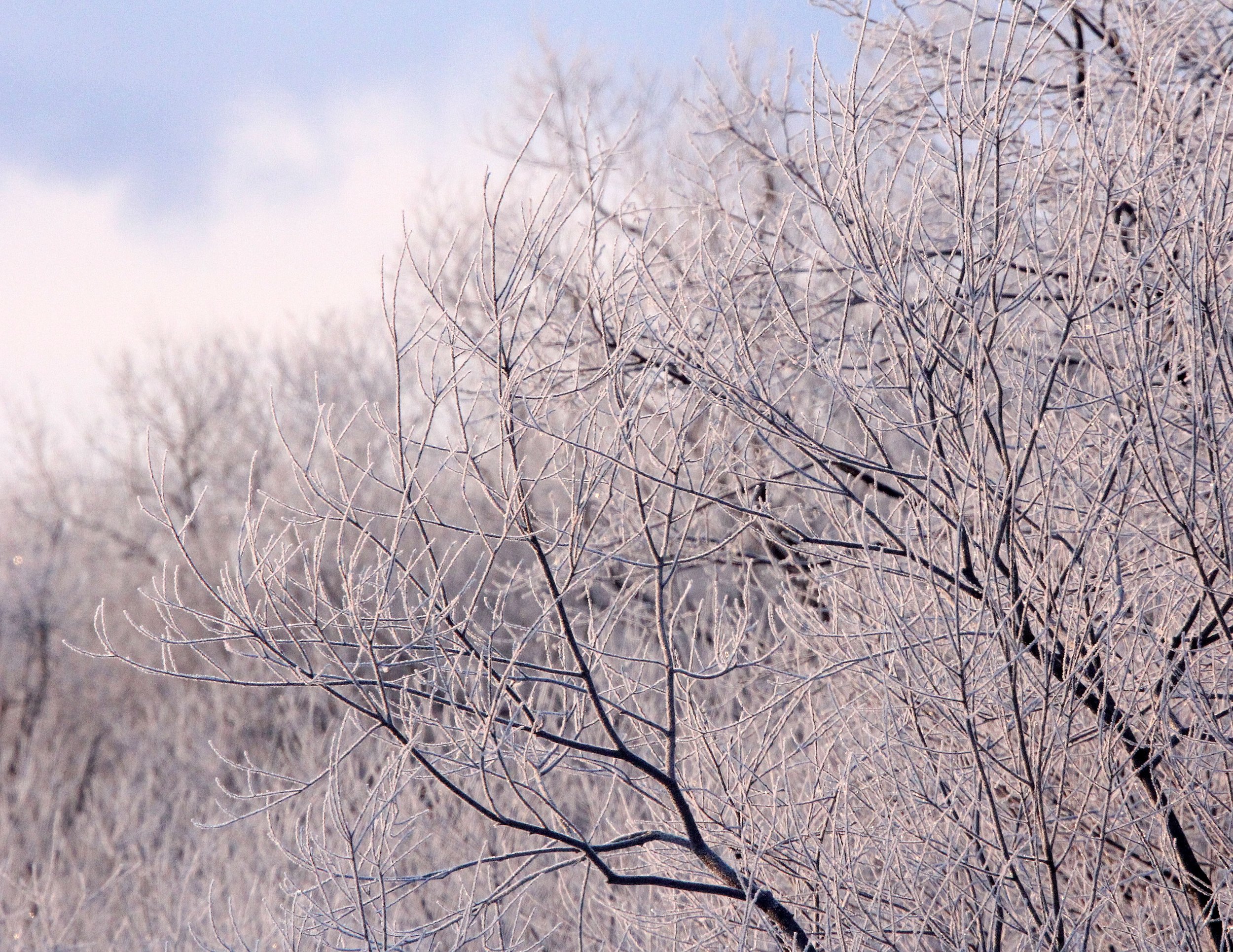 OTOWABASHI SETSUGAWA - TSURUI TOWN - HOKKAIDO JAPAN (24).JPG