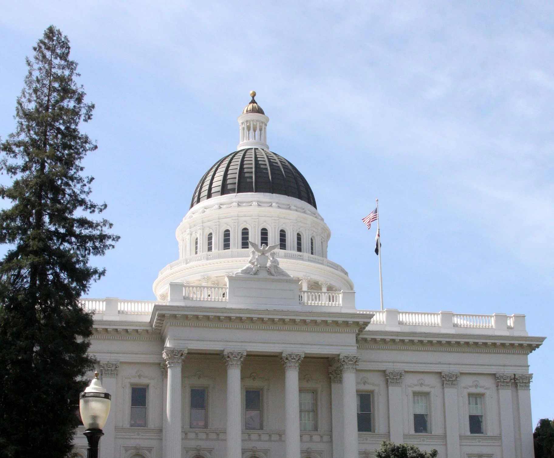 2010-4-9 SACRAMENTO CALIFORNIA - CAPITAL BUILDING (13).JPG