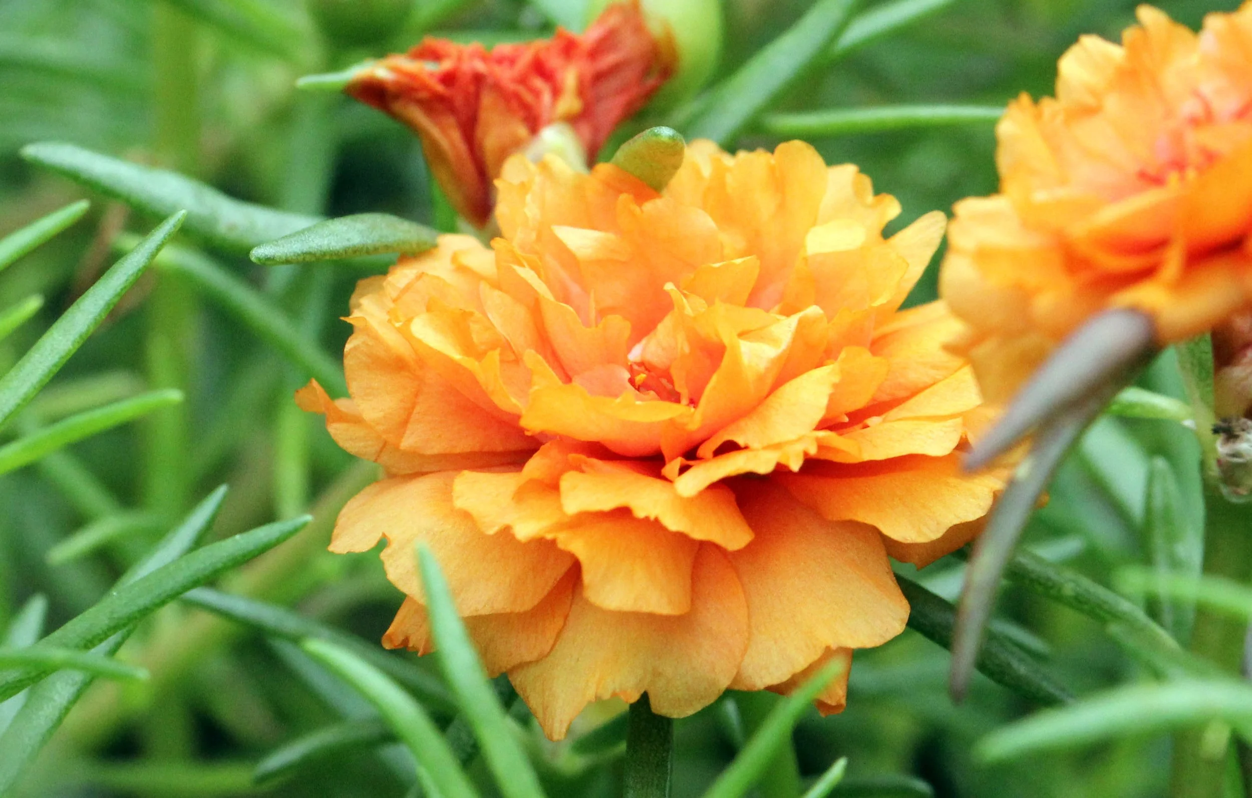 2013 Cha'am and Petchaburi with Family & Friends (39).JPG